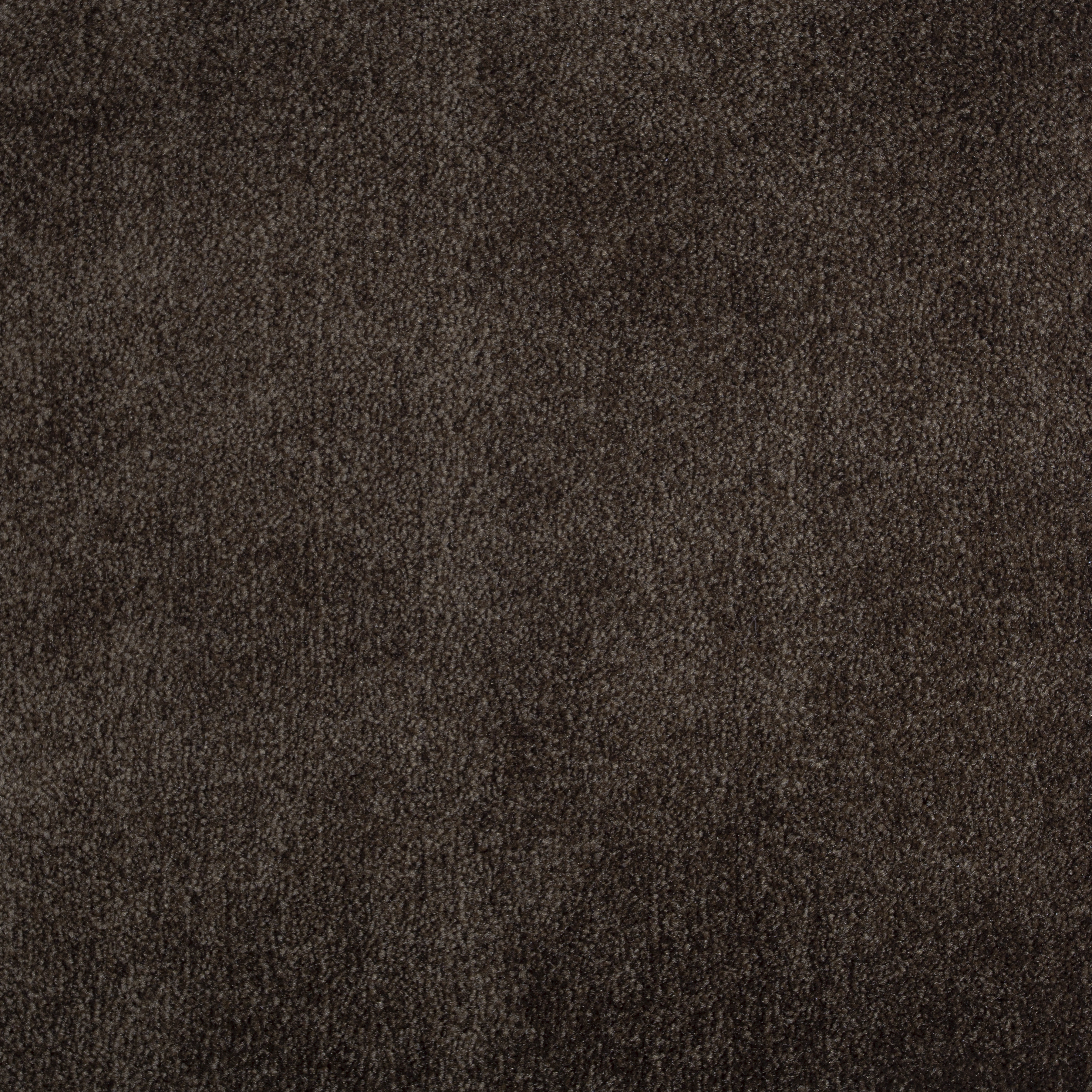Tobacco 1237 BR BRIGHT texture