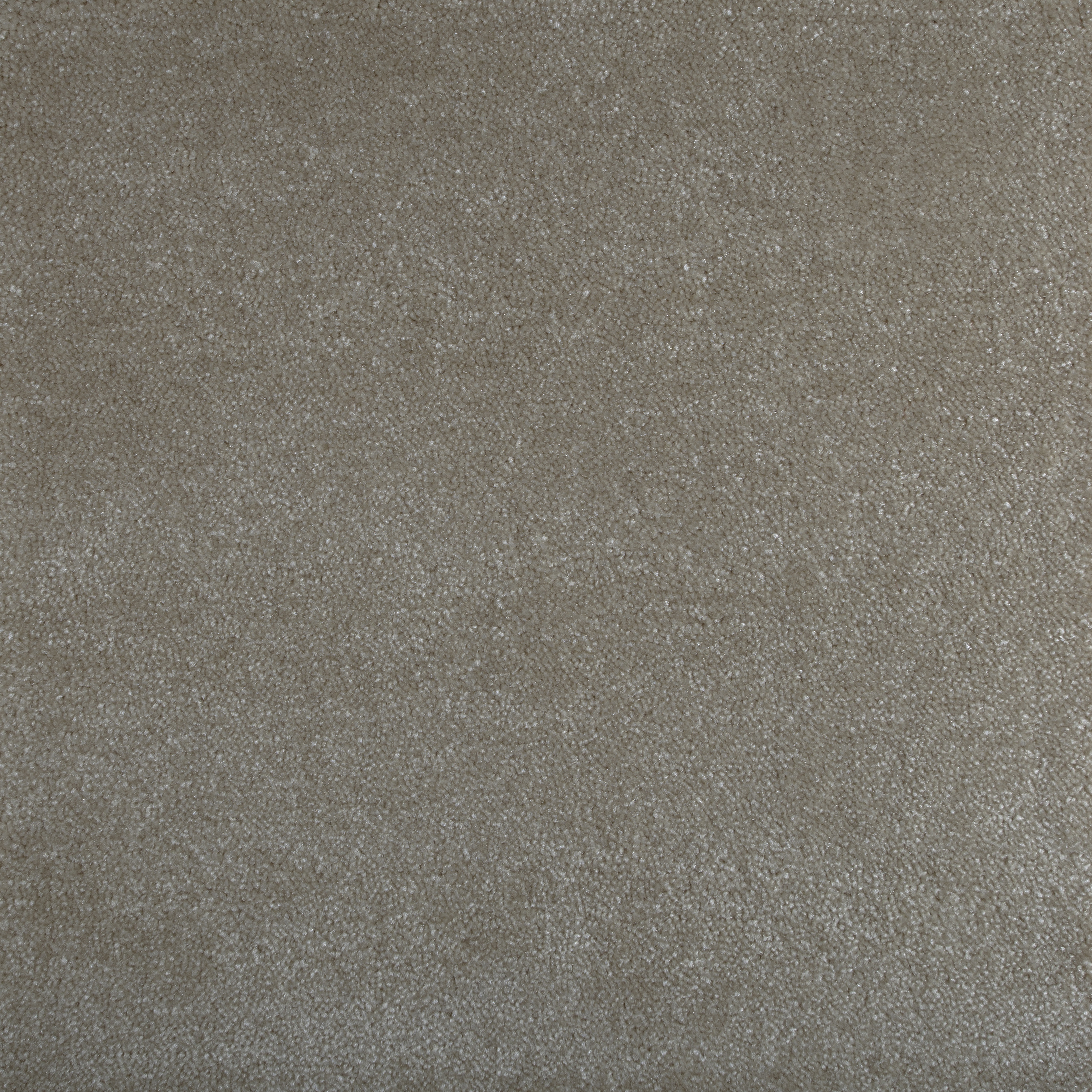 Putty 1242 BR BRIGHT texture