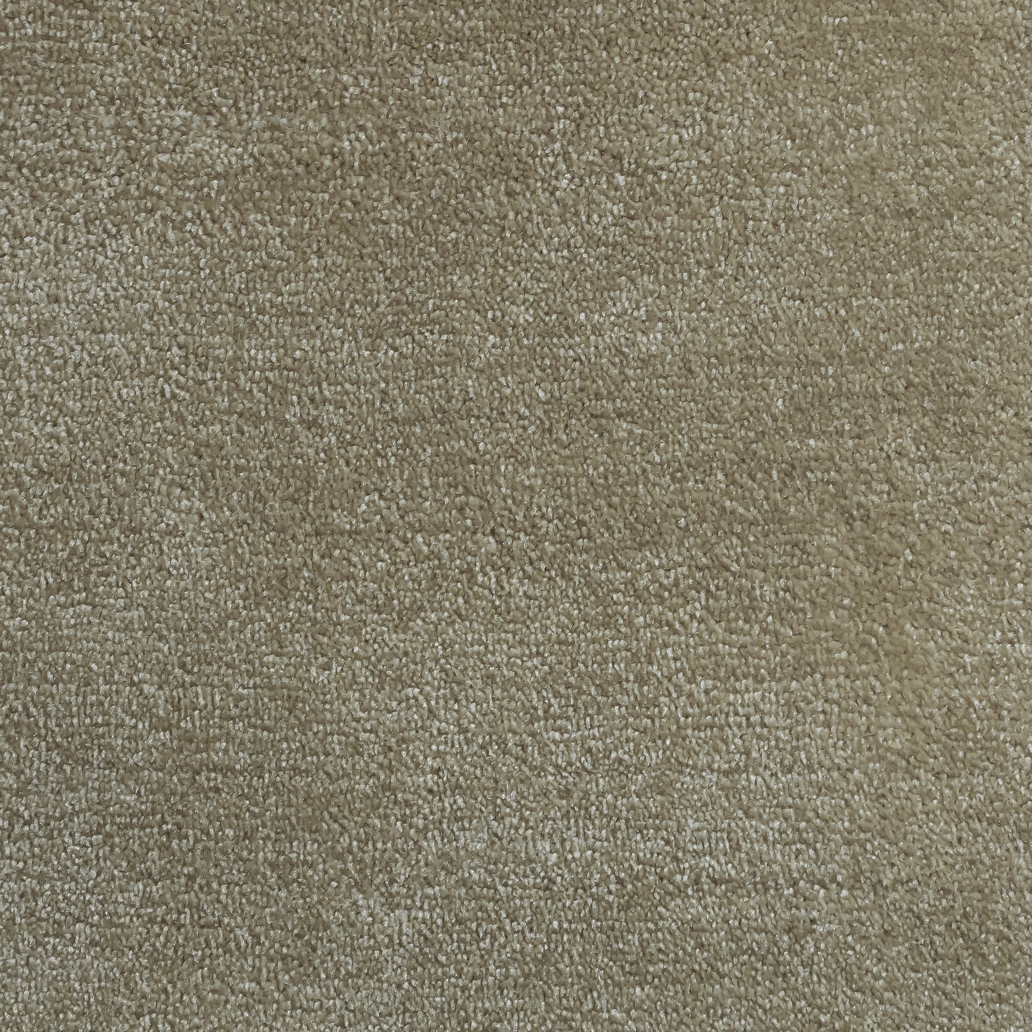 Almond 1244 BR BRIGHT texture