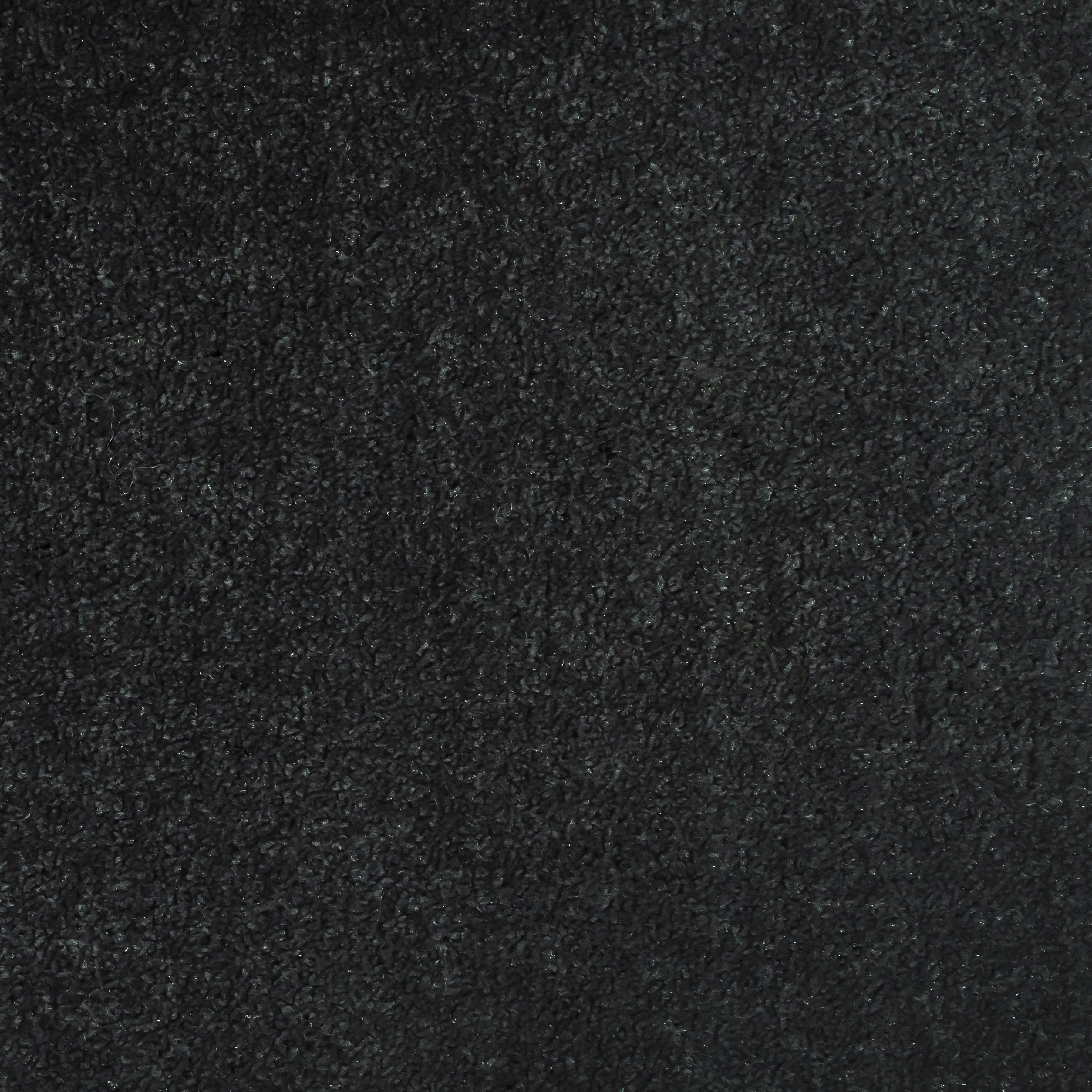 Raven 1290 BR BRIGHT texture