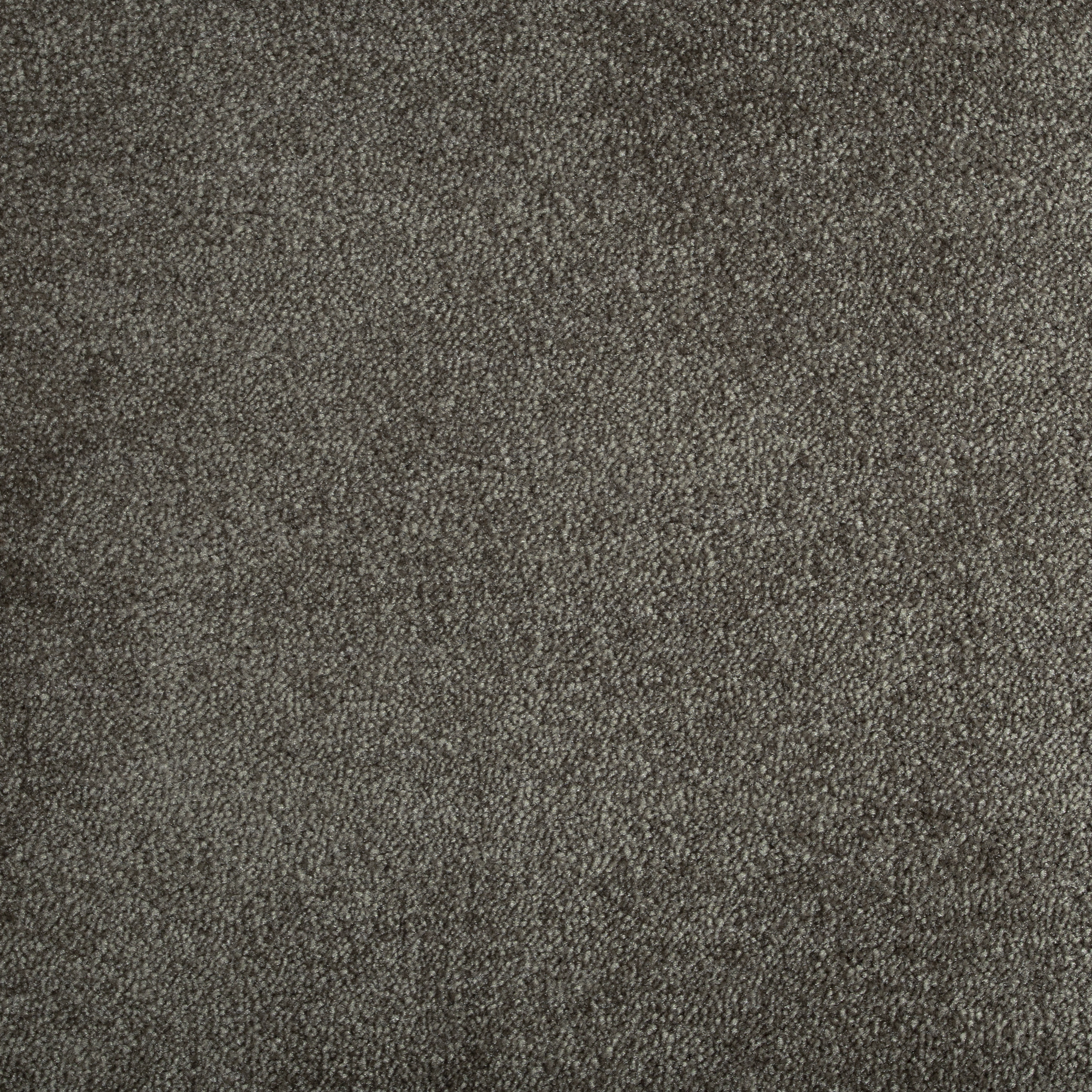 Mushroom 1291 BR BRIGHT texture