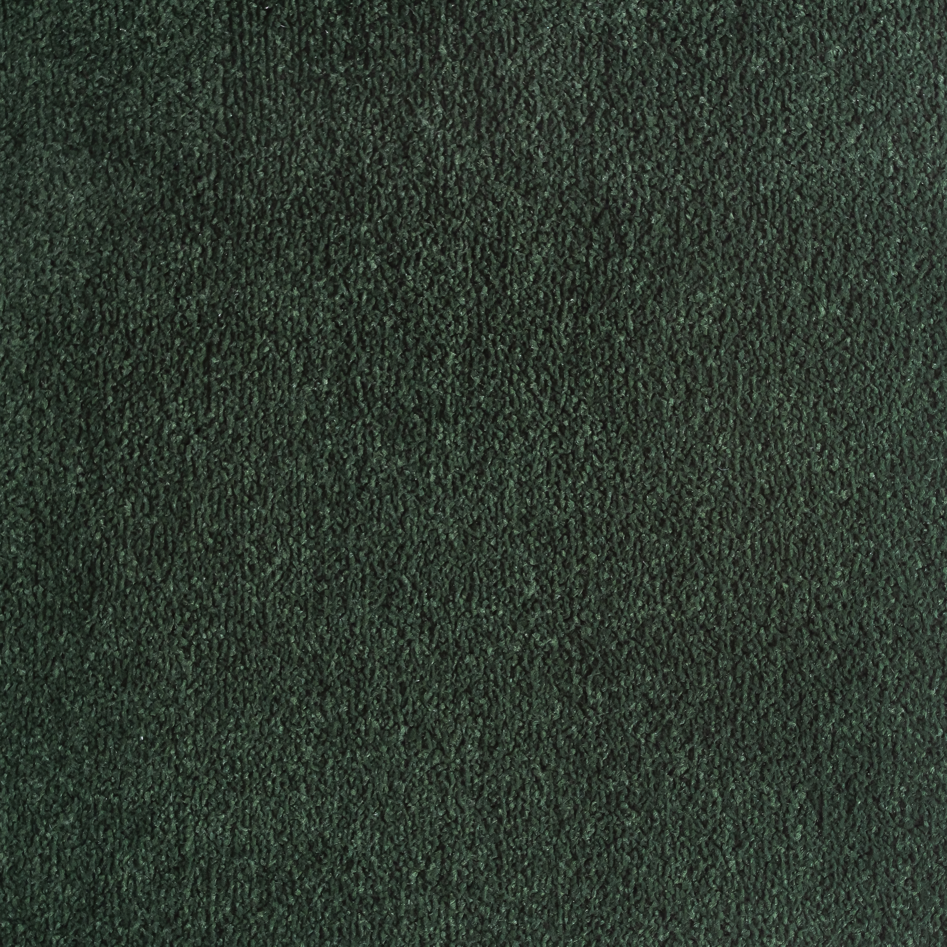Forest 0077 CORE texture