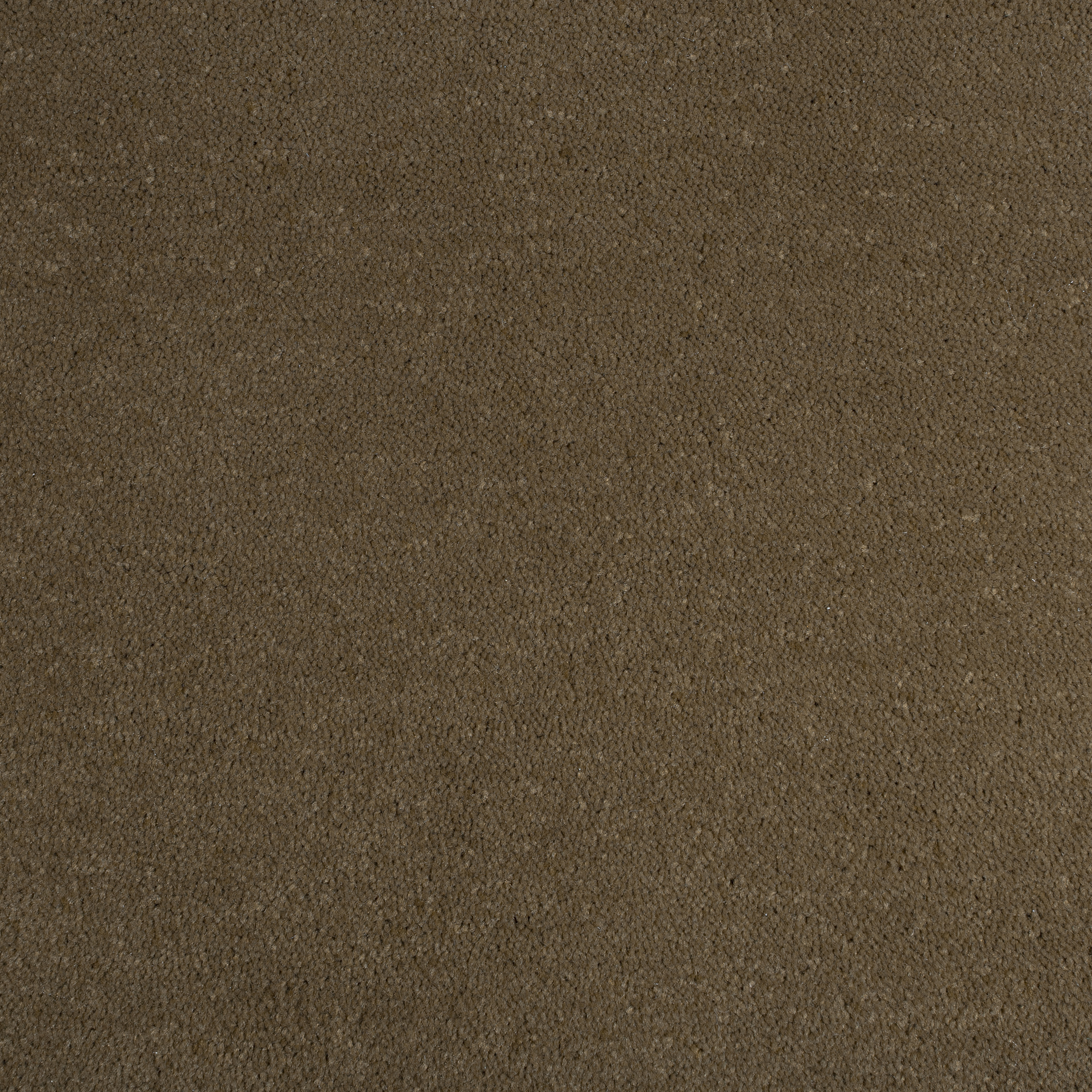 Toffee 0095 CORE texture