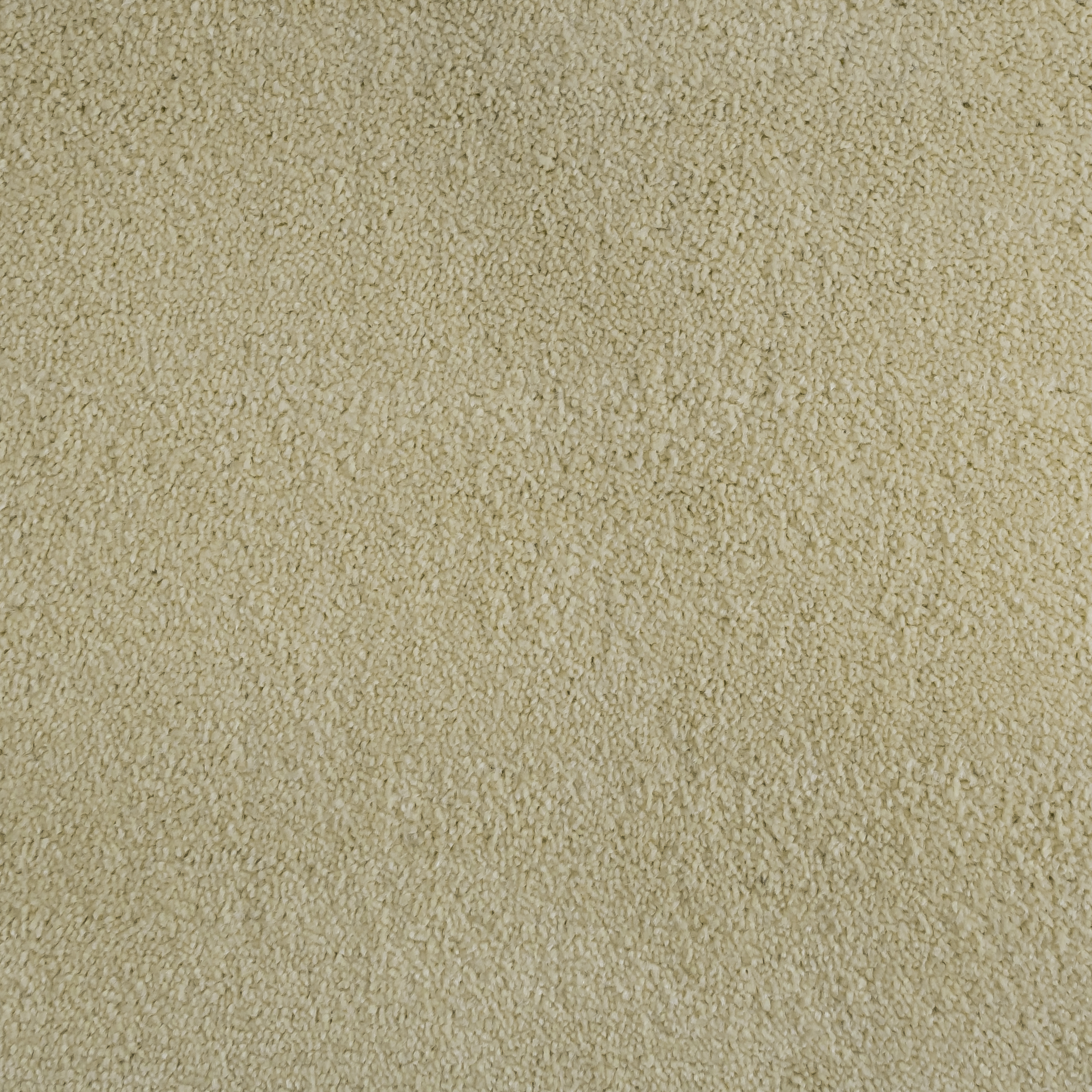 Straw 0096 CORE texture