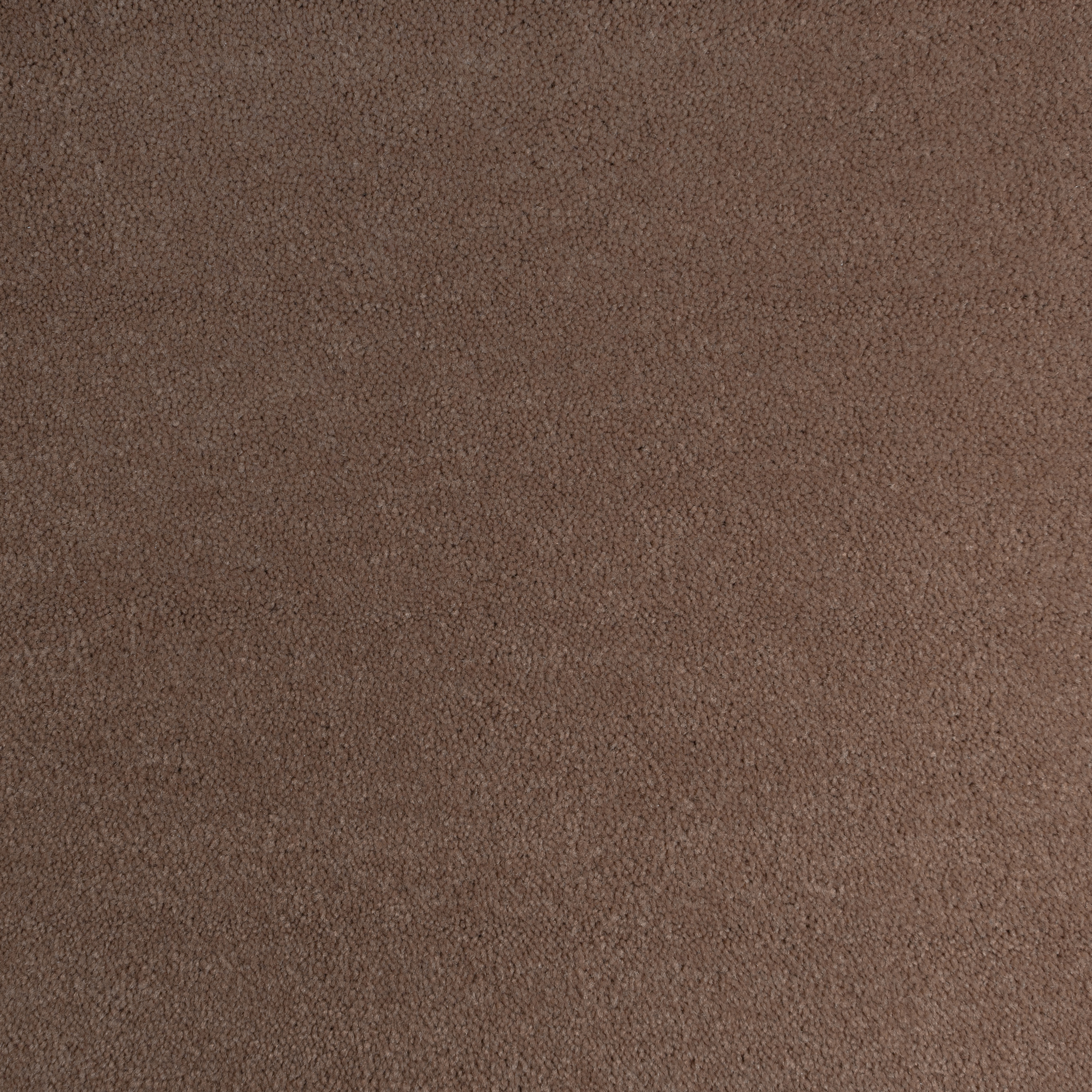 Sienna 0103 CORE texture