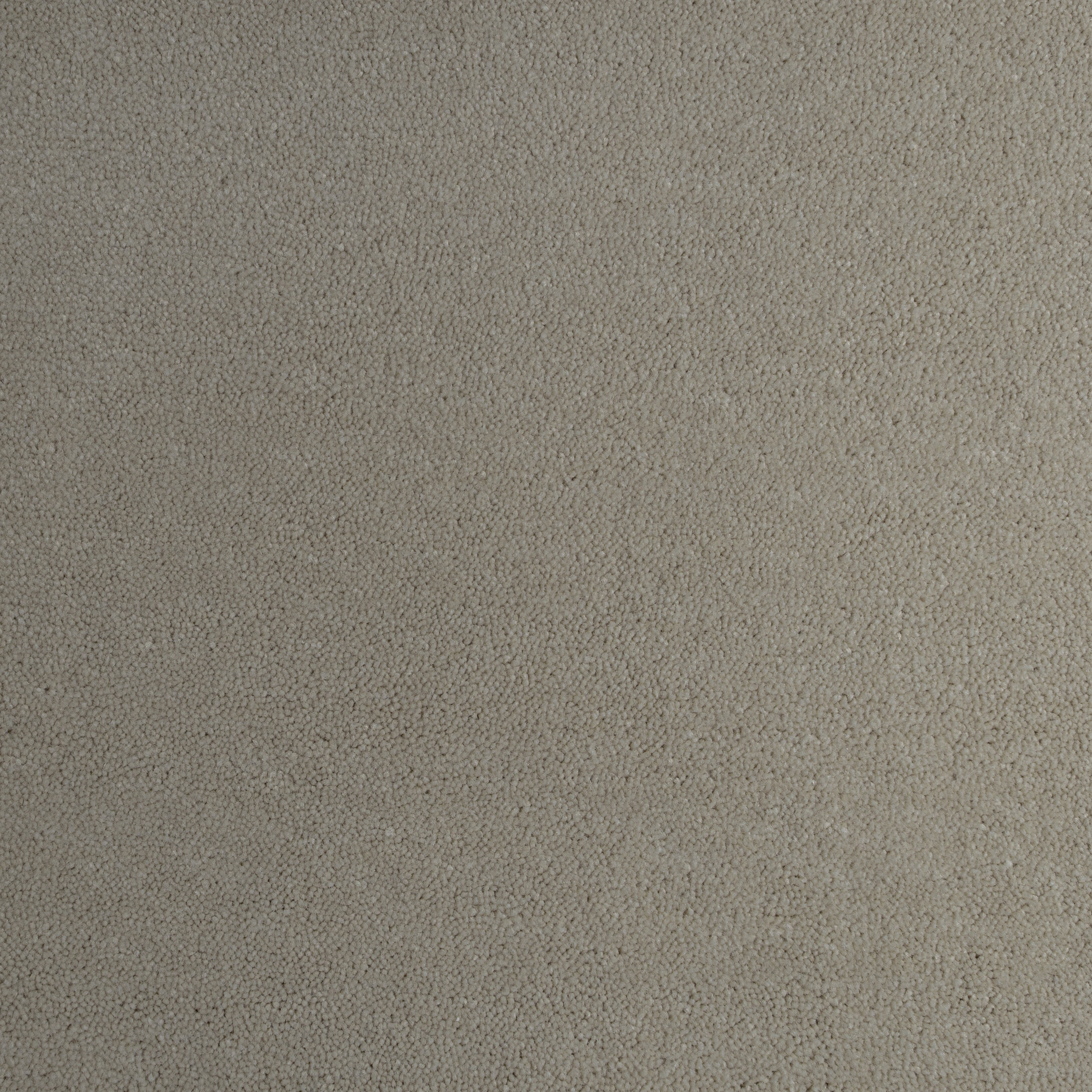 Ash 0139 CORE texture