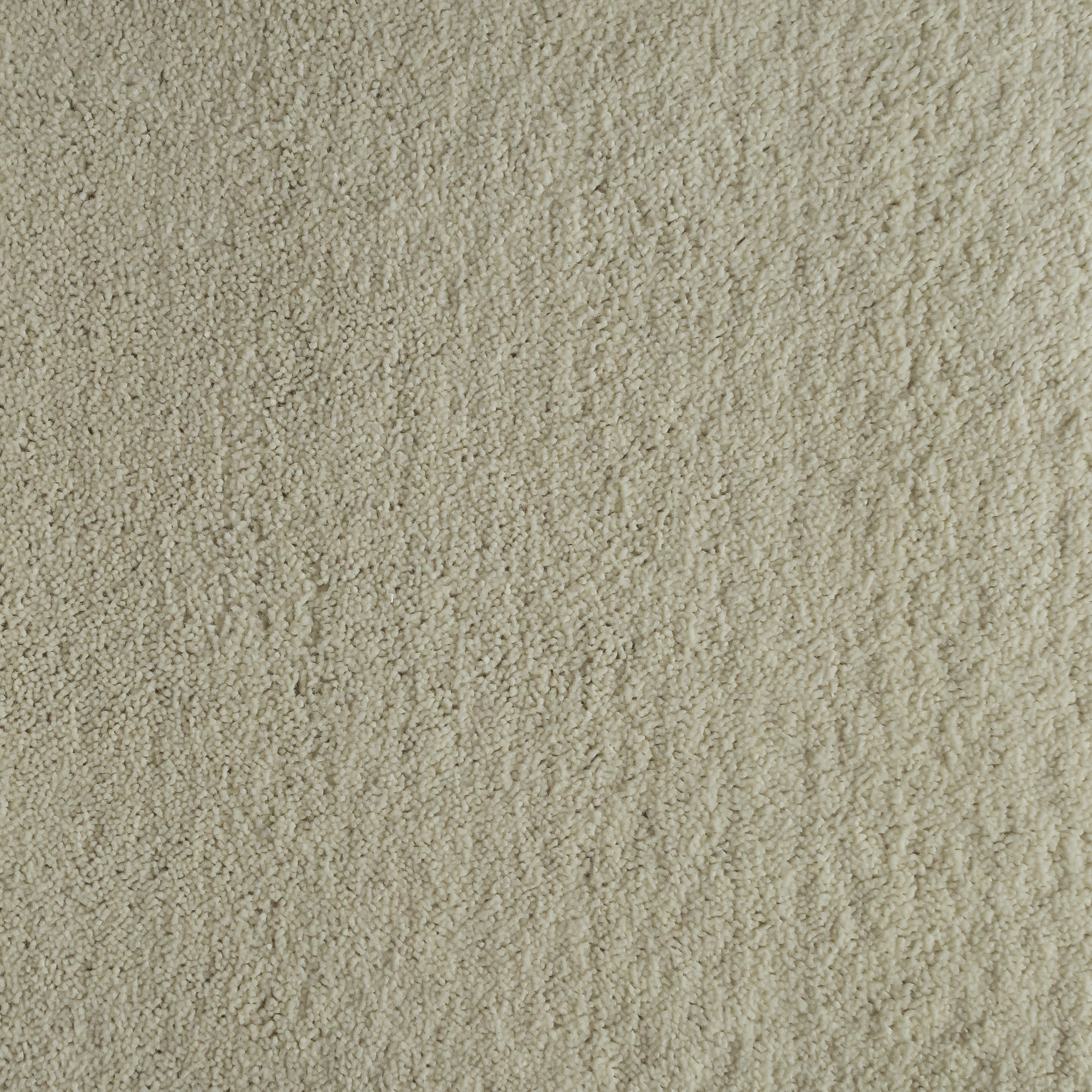 Wheat 0851 CORE texture