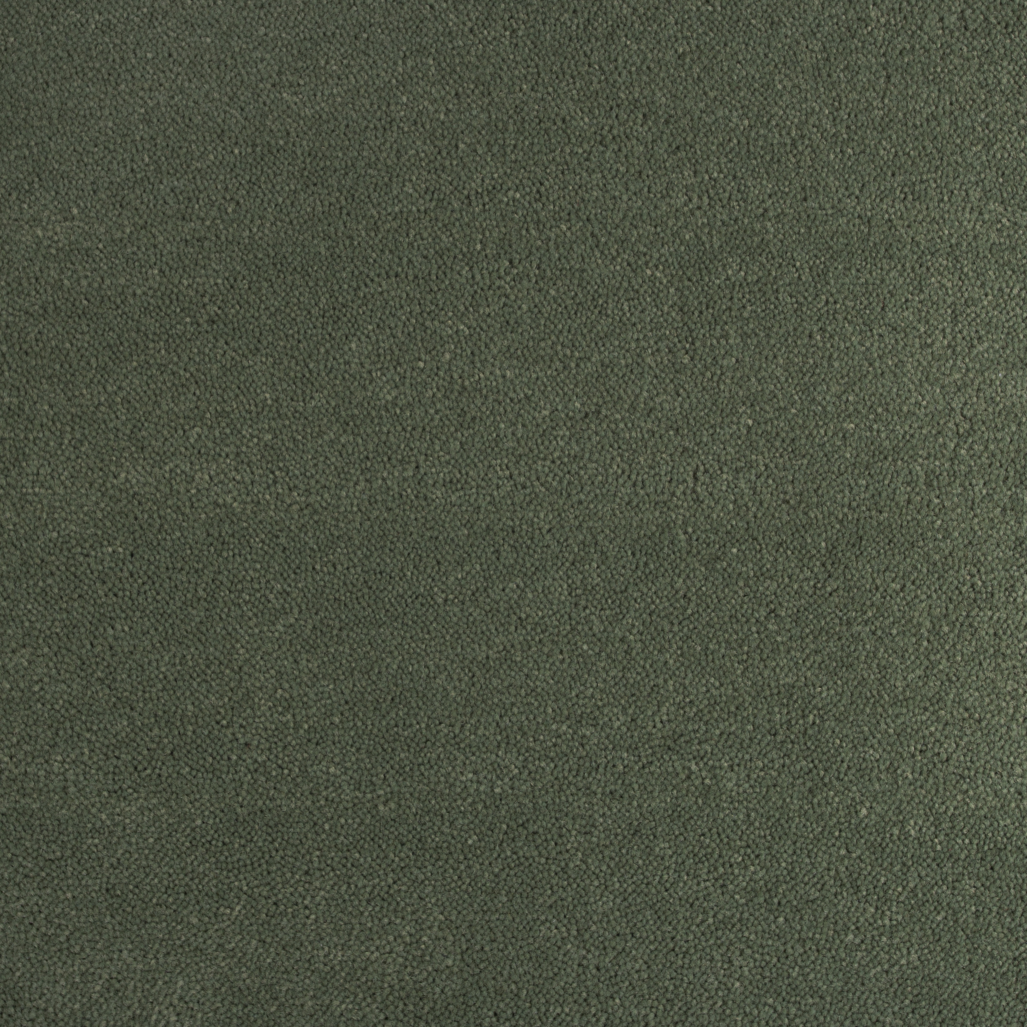 Olive 1136 CORE texture