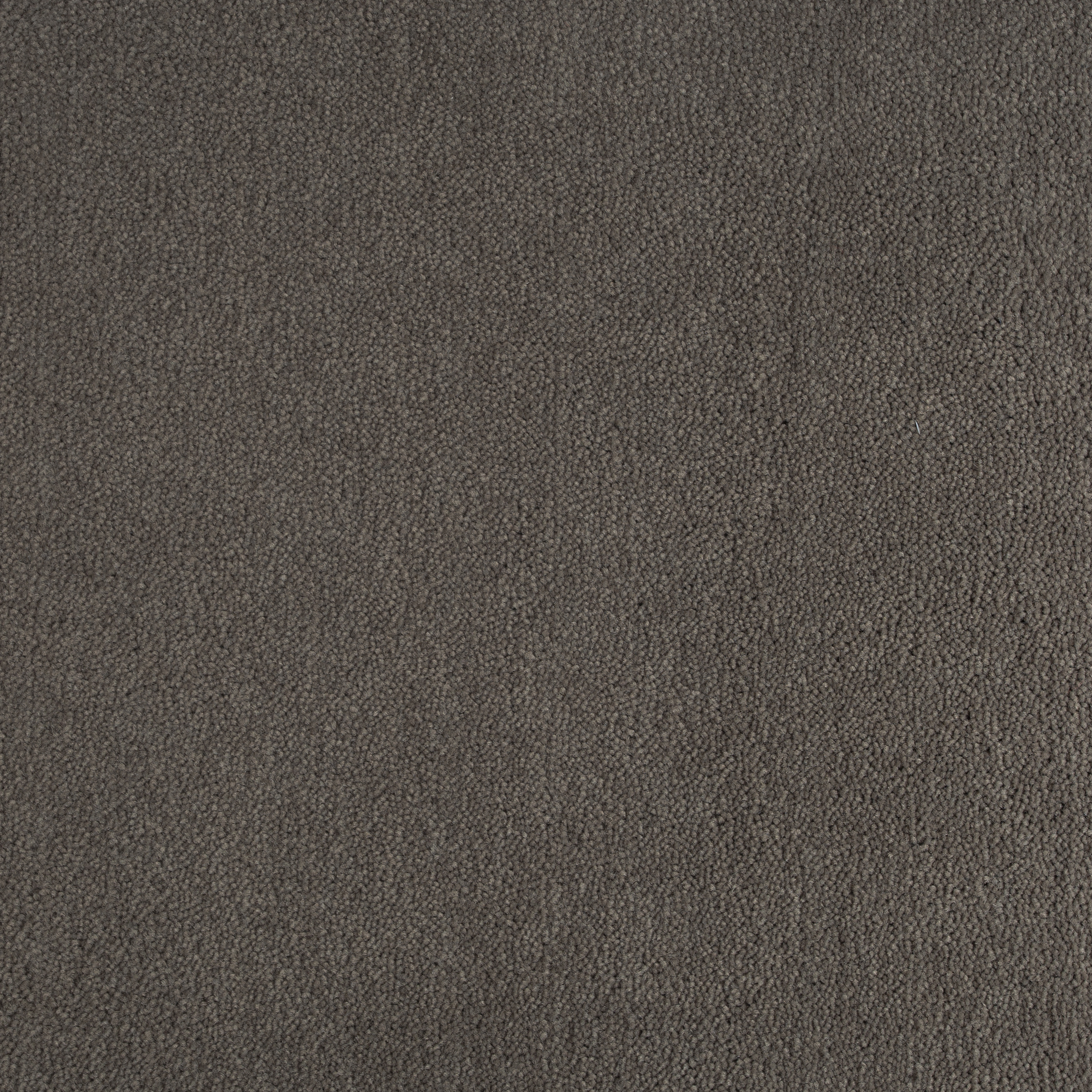 Mocha 1137 CORE texture