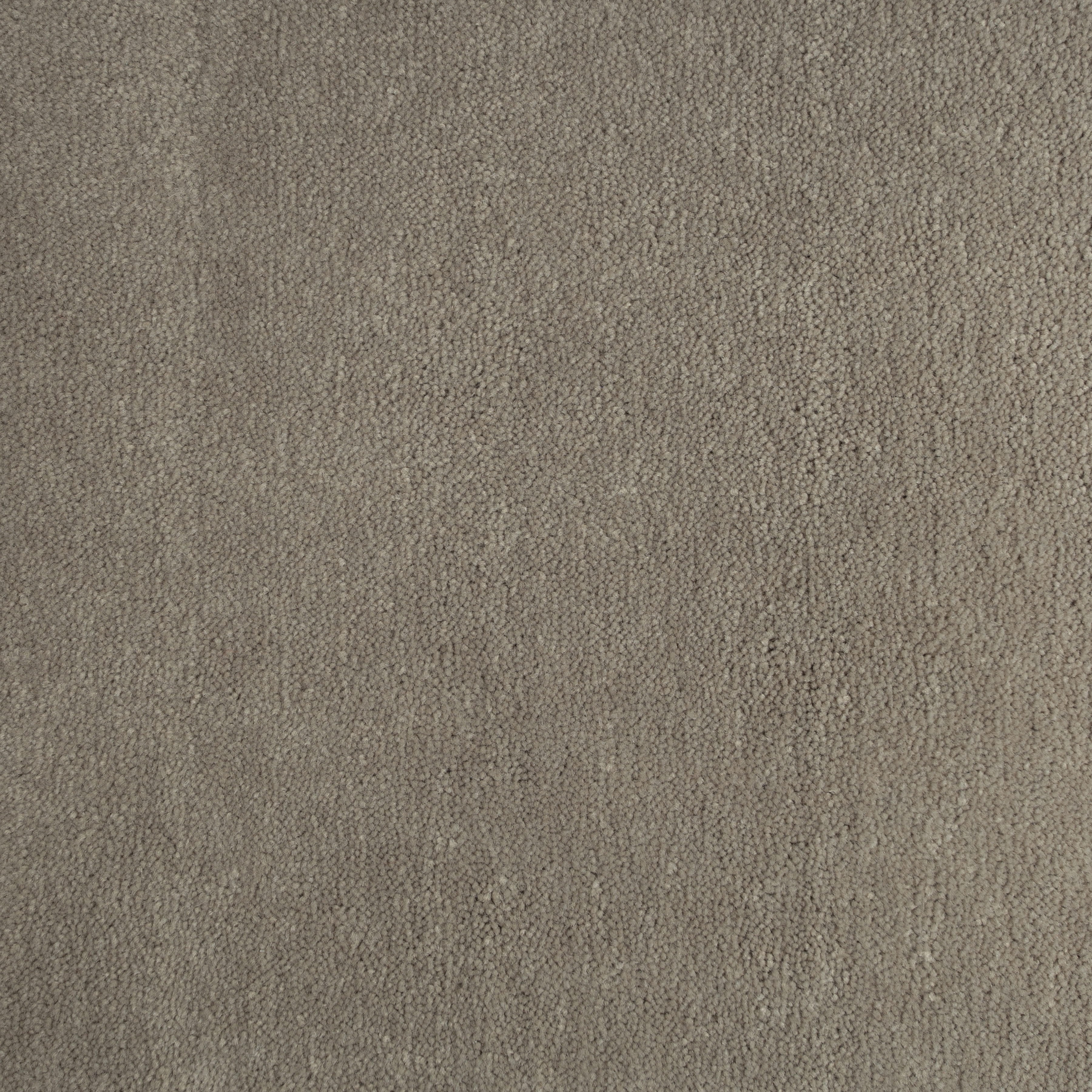 Dune 1147 CORE texture