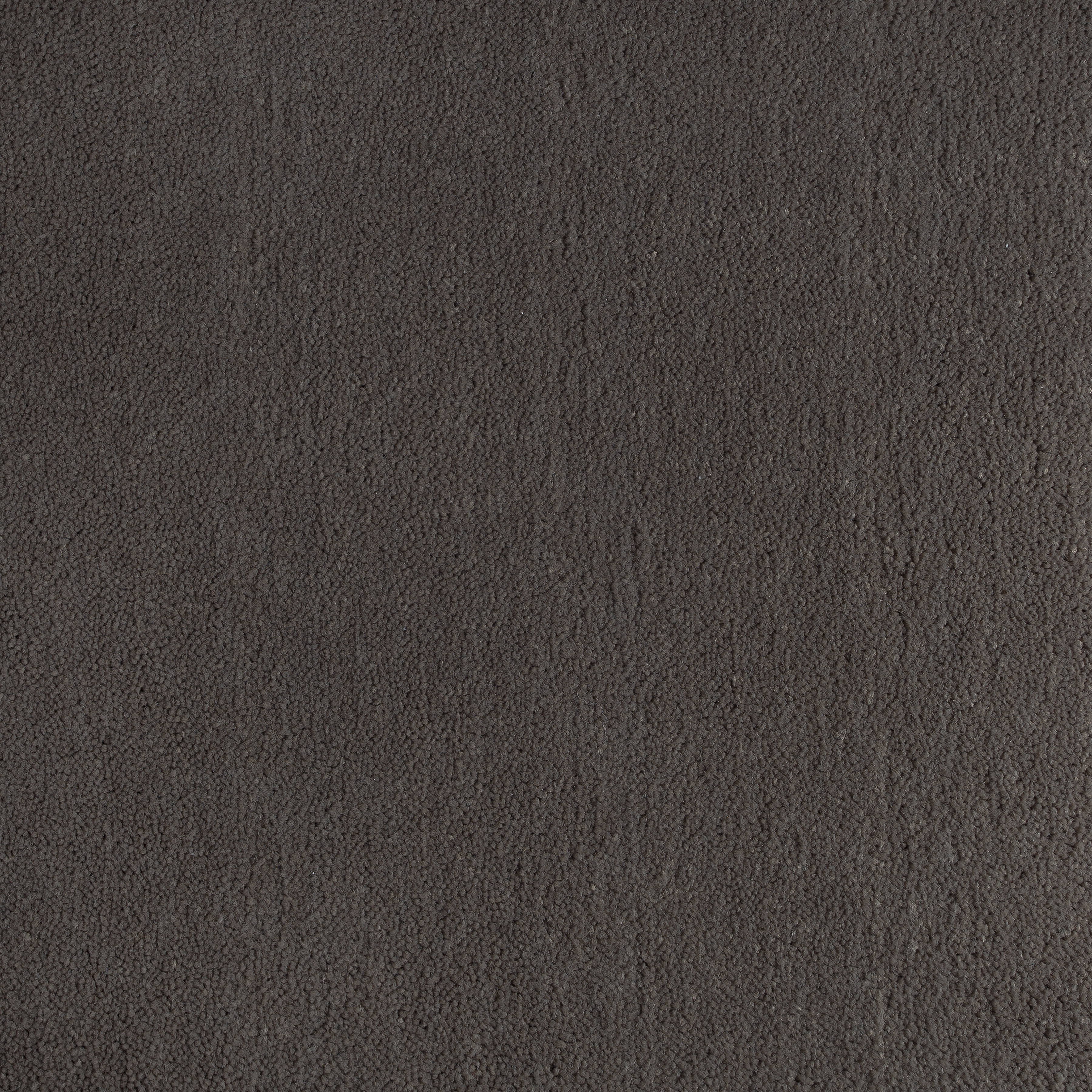 Dark Mocha 1160 CORE texture