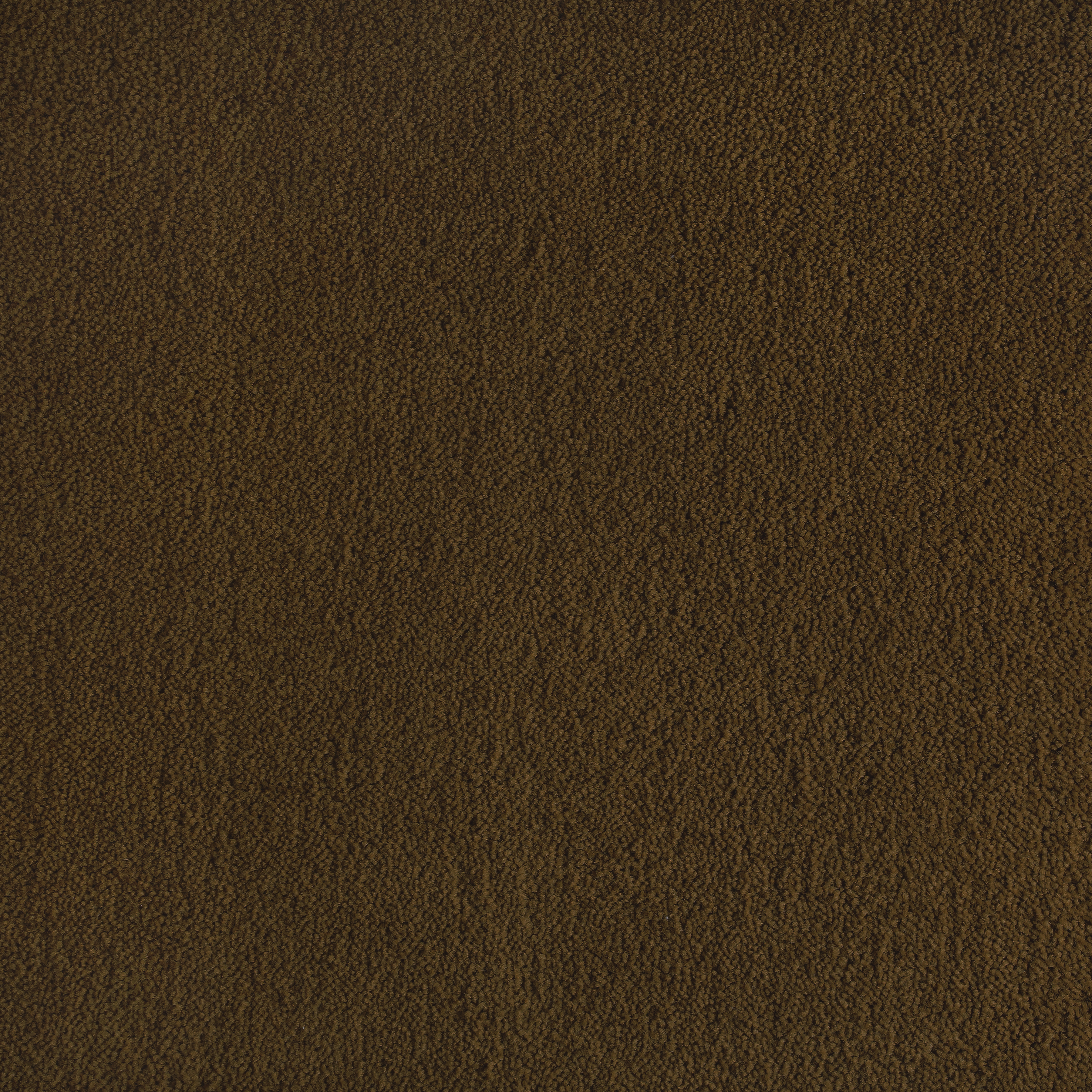 Walnut 1171 CORE texture