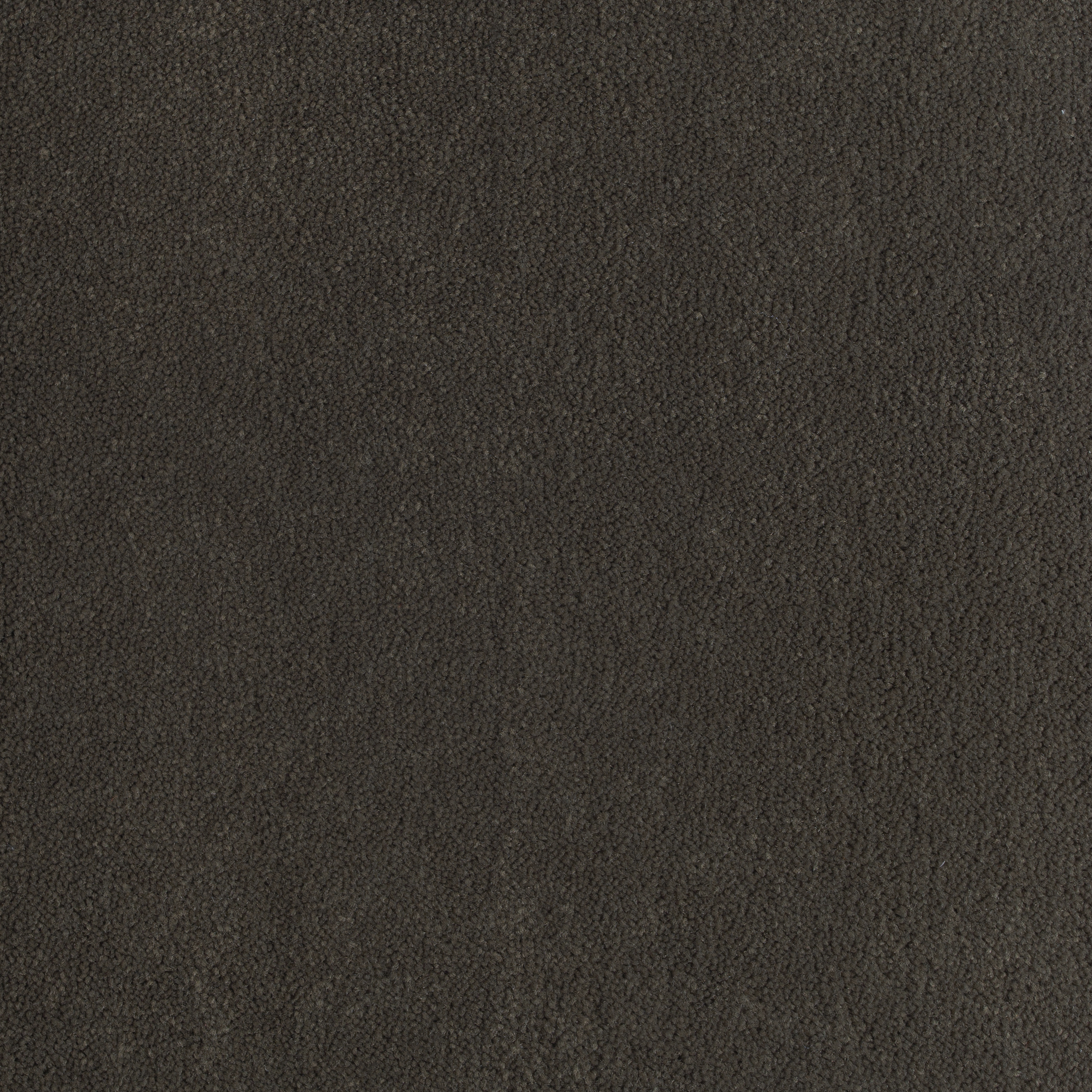 Dark Umber 1174 CORE texture