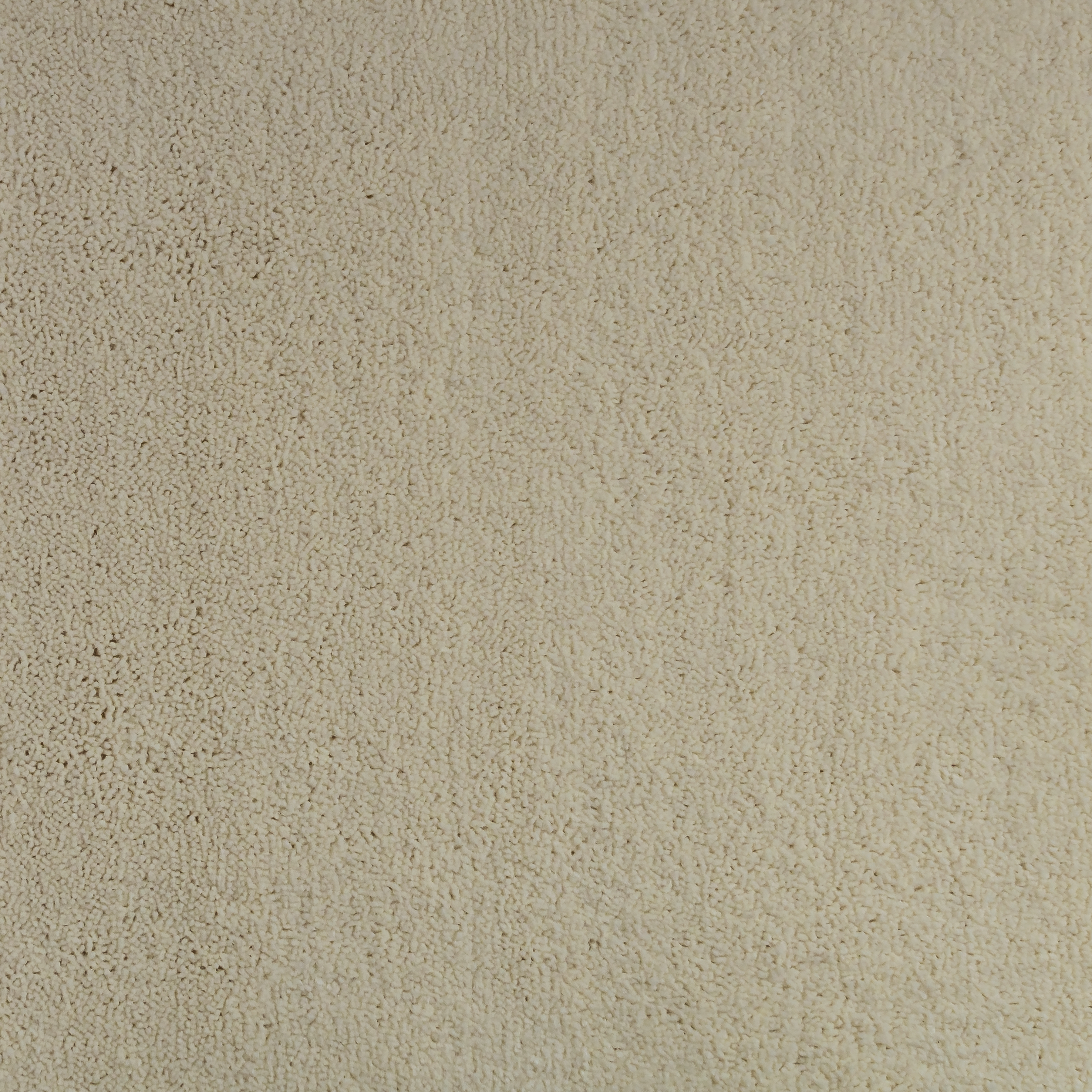 Ivory Sand 1175 CORE texture