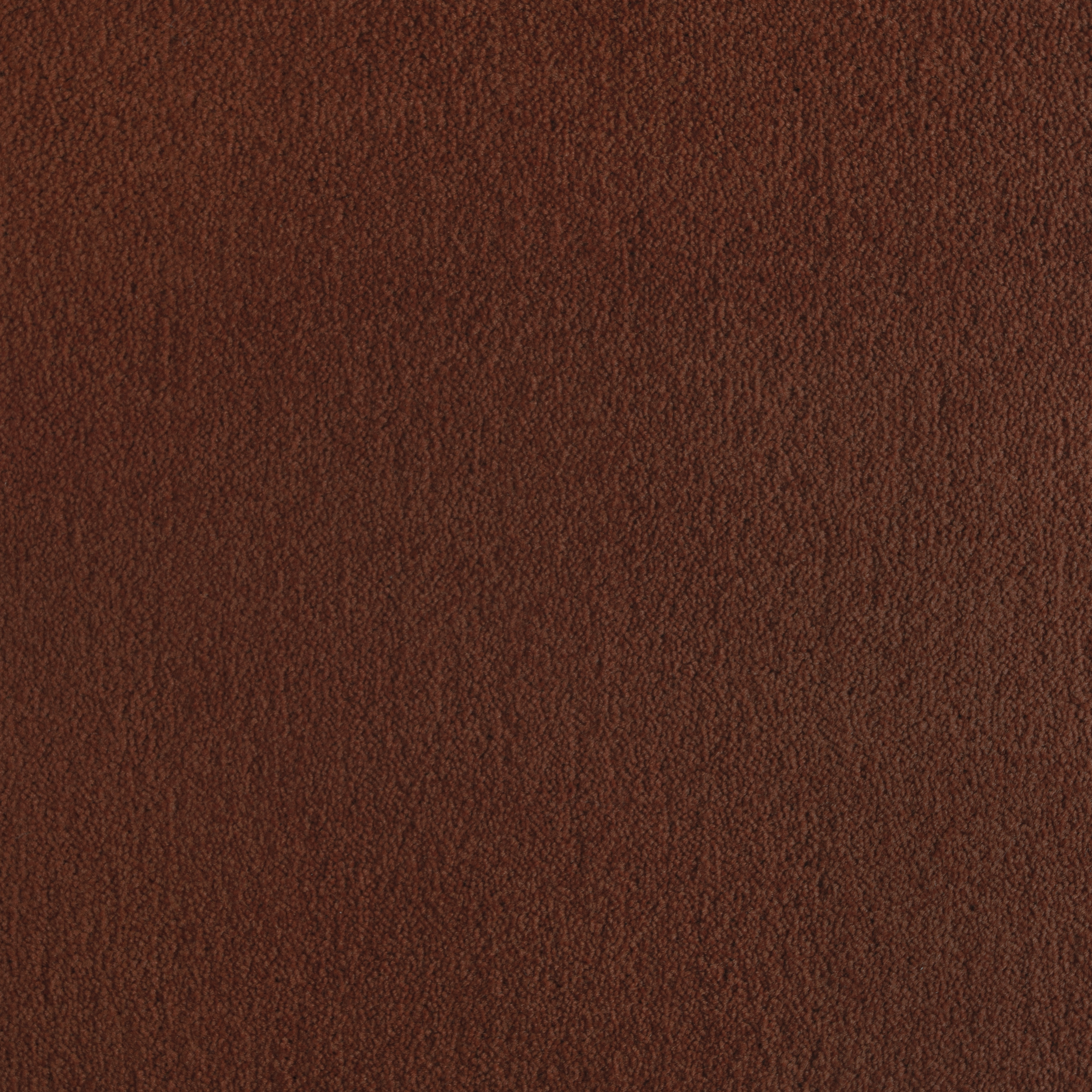 Terracotta 1204 CORE texture