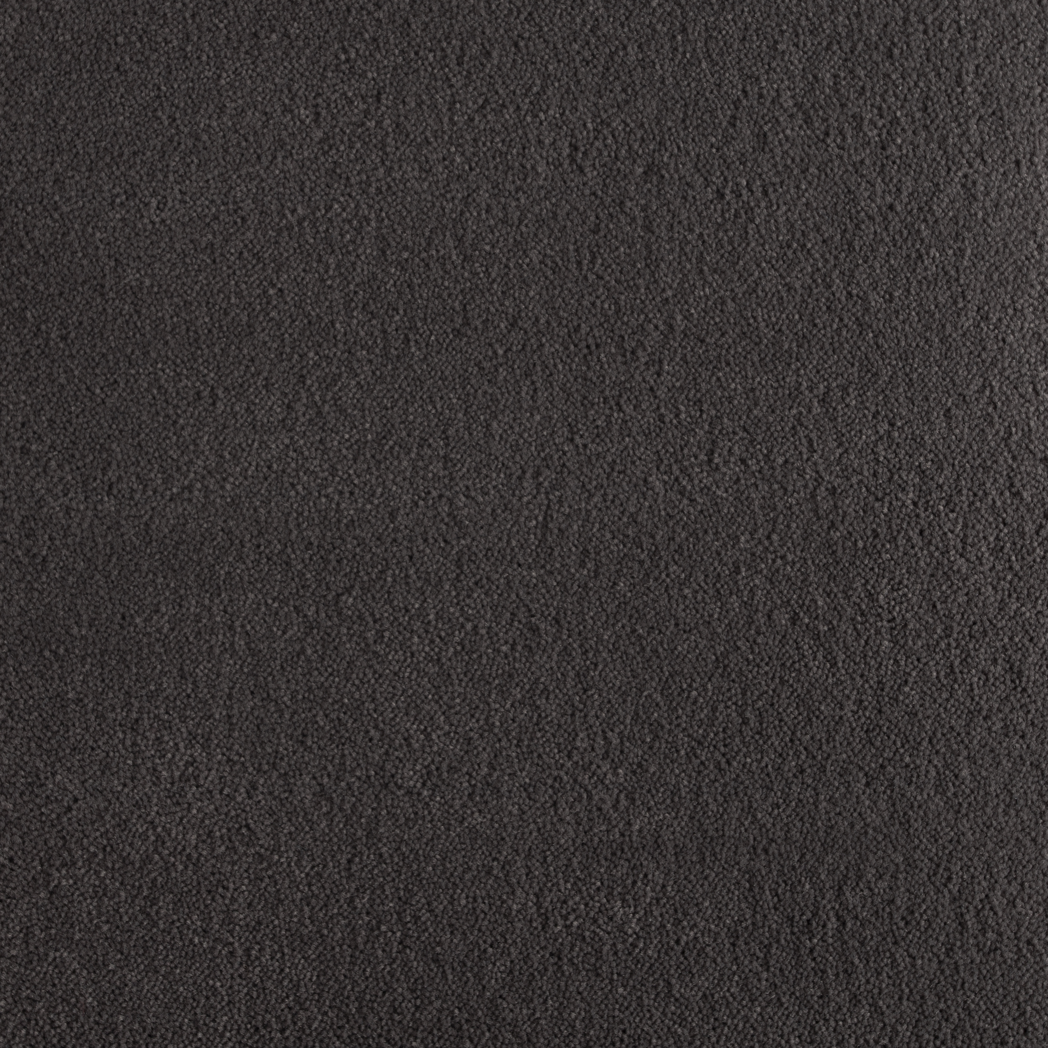 Cocoa 1224 CORE texture
