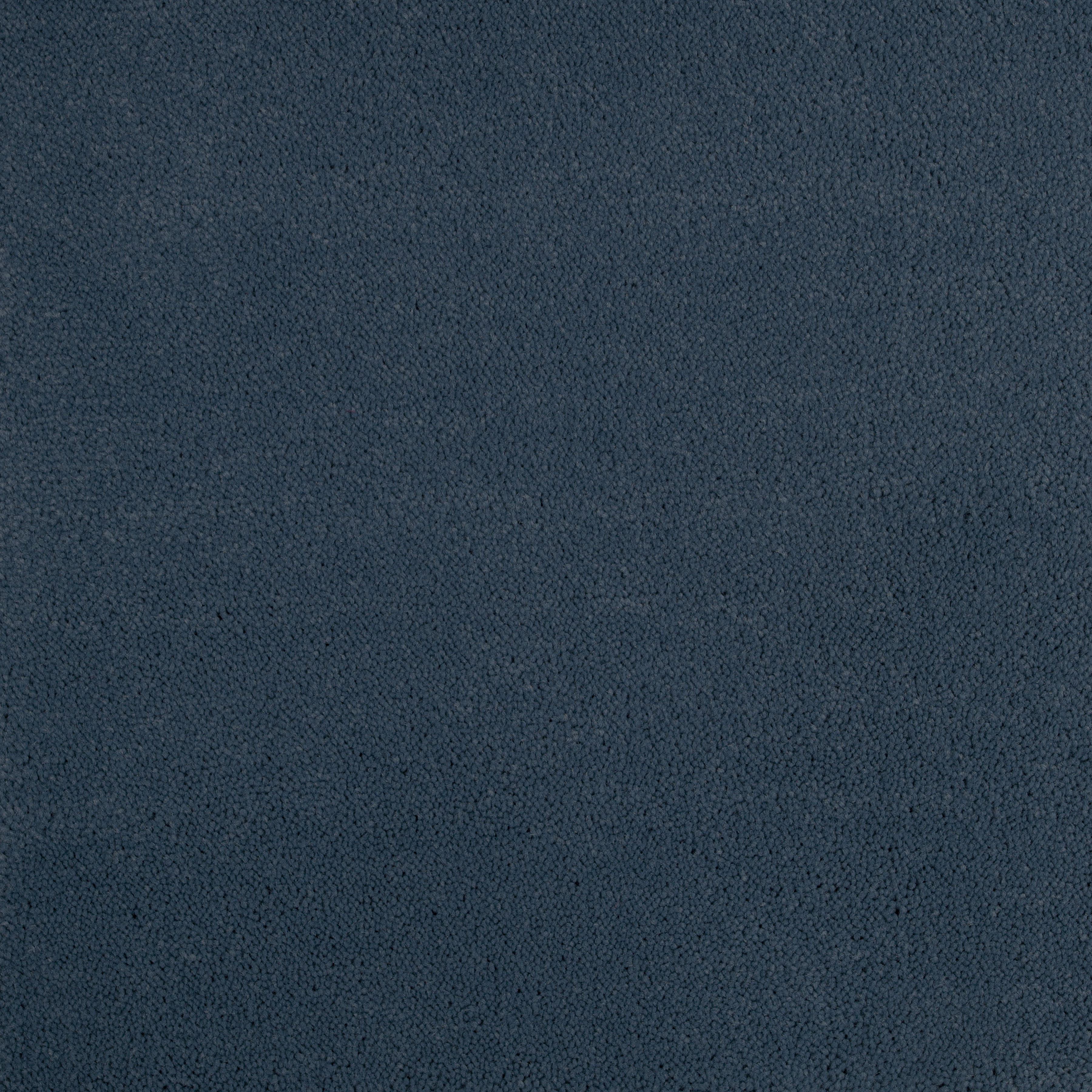 Tempest 1231 CORE texture