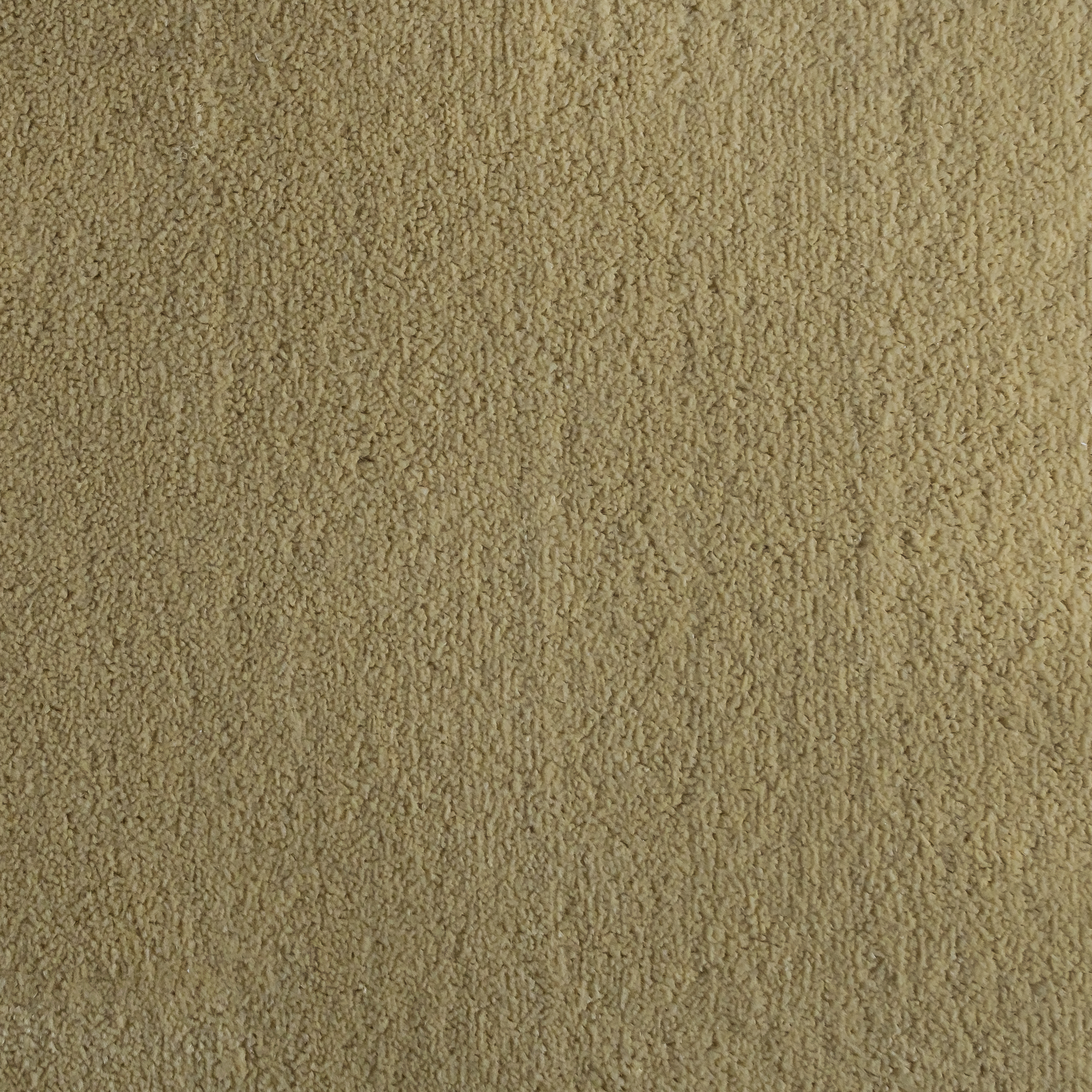 Camel 1297 CORE texture