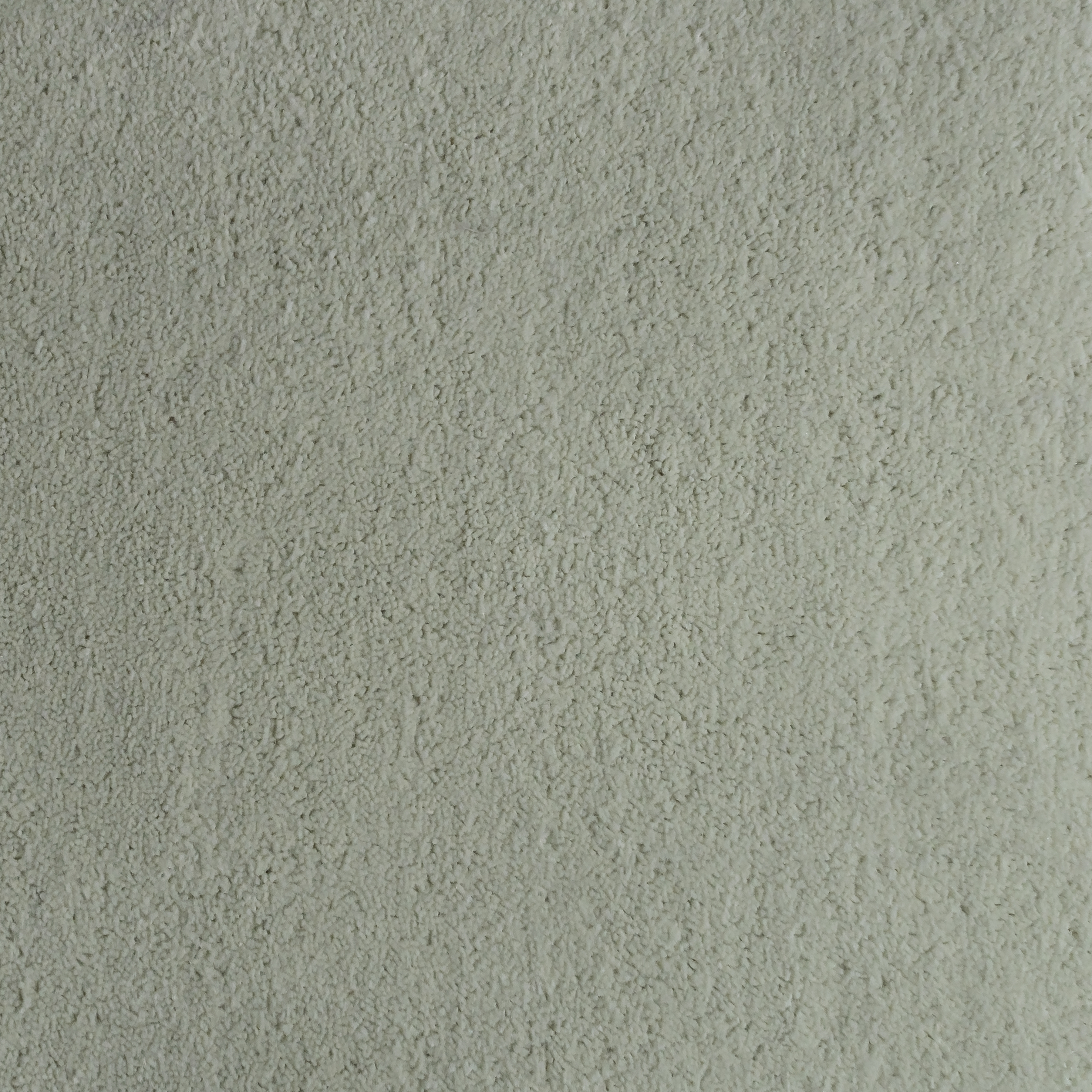 Thyme 1309 CORE texture