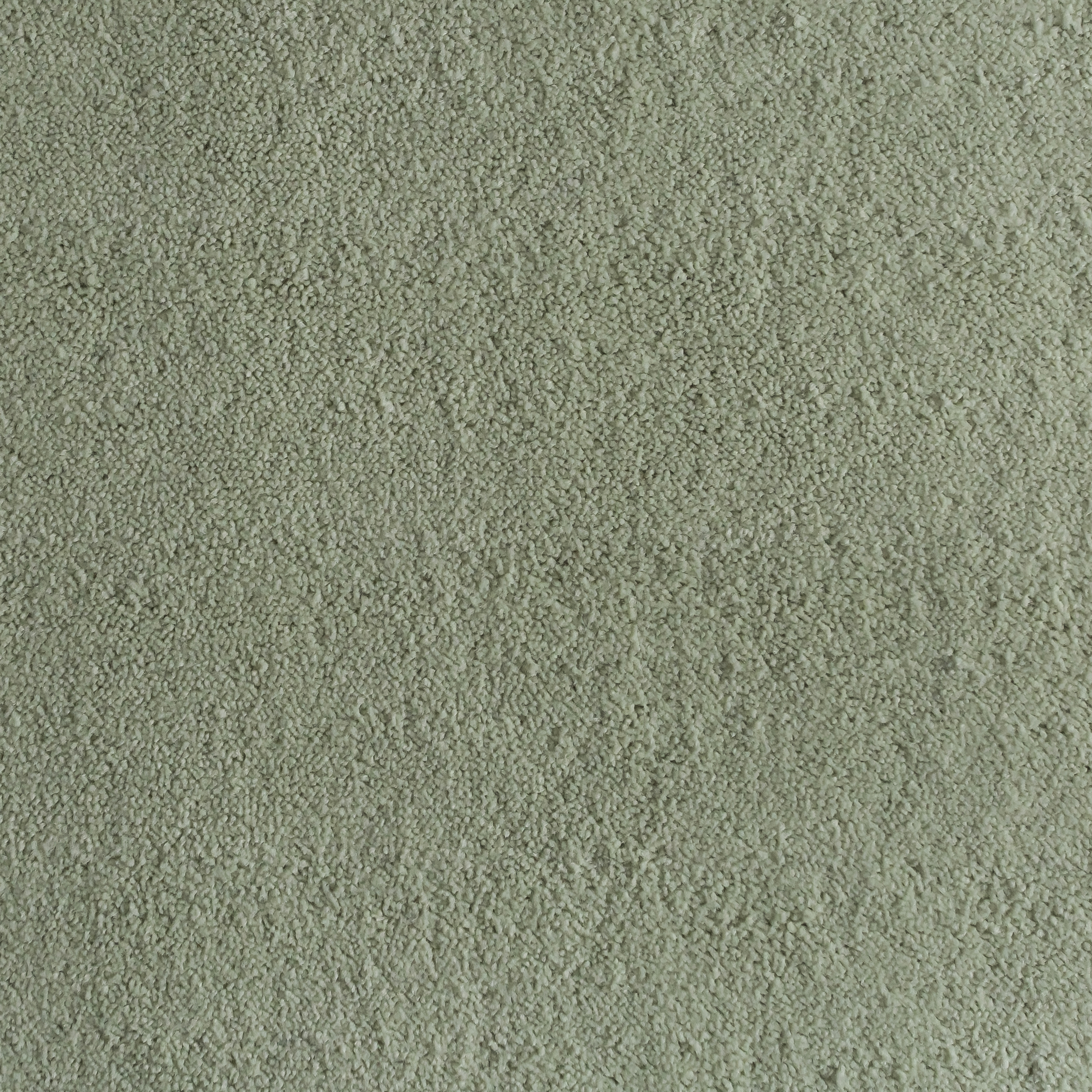 Sage 1319 CORE texture