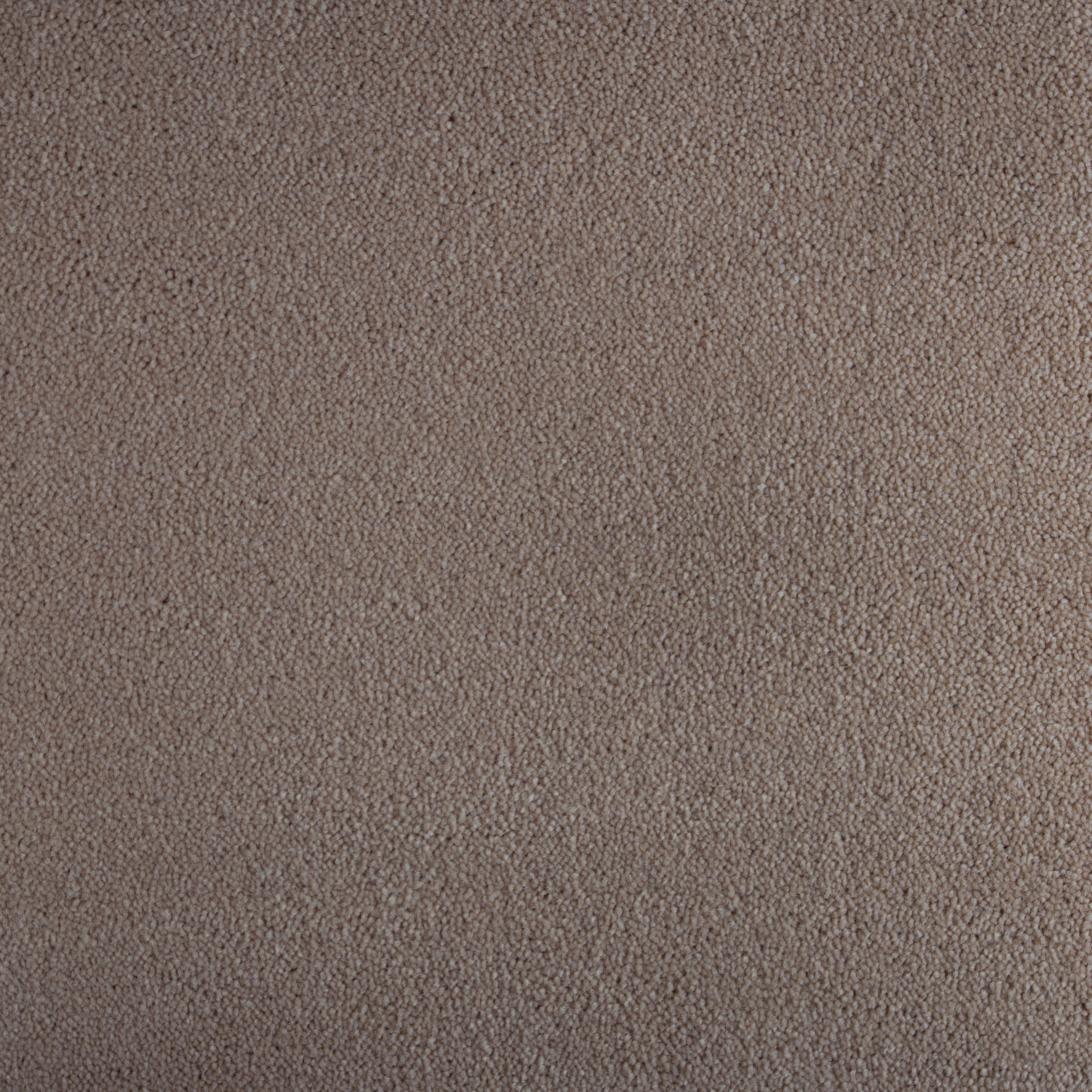 Clay 1320 CORE texture