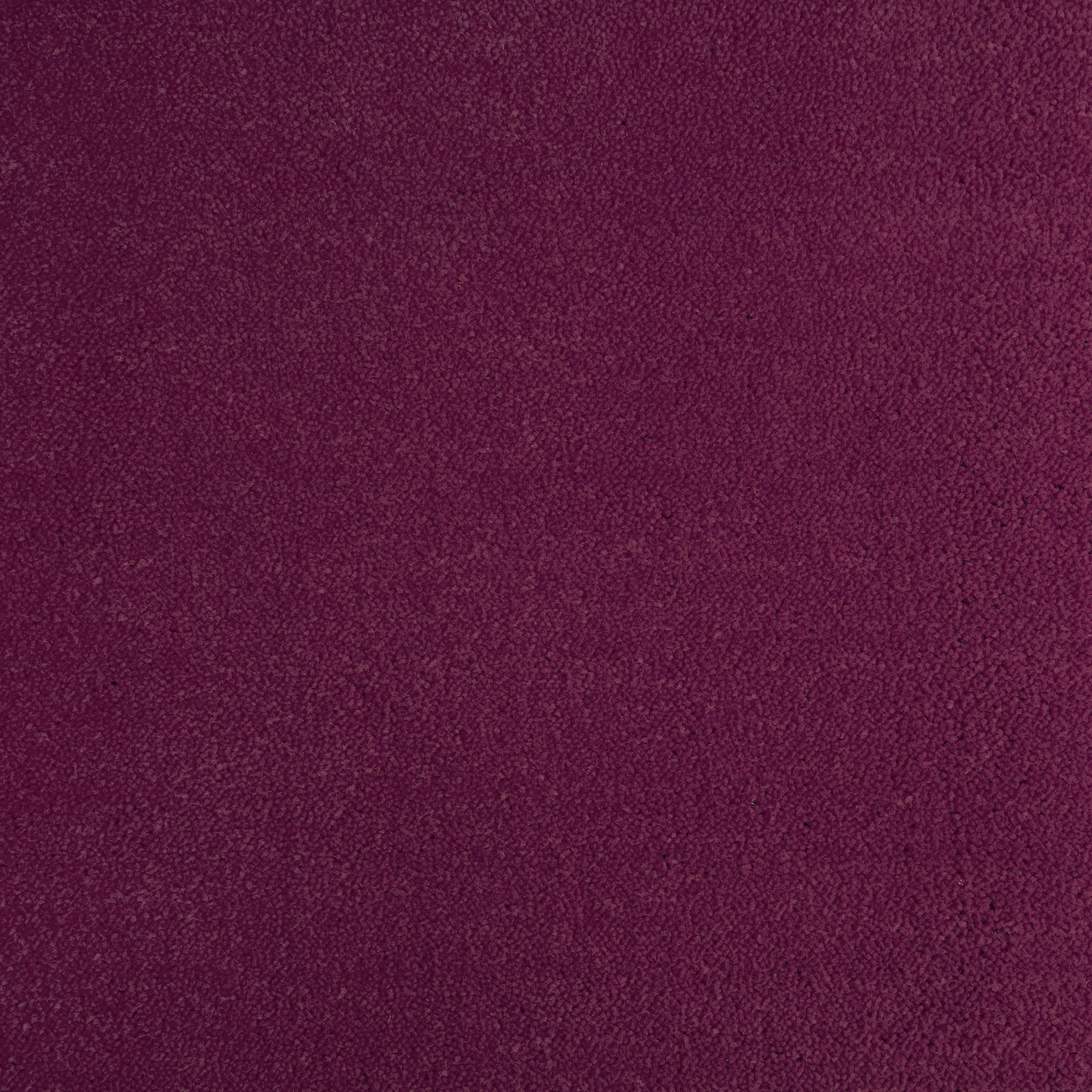 Peony 1356 CORE texture