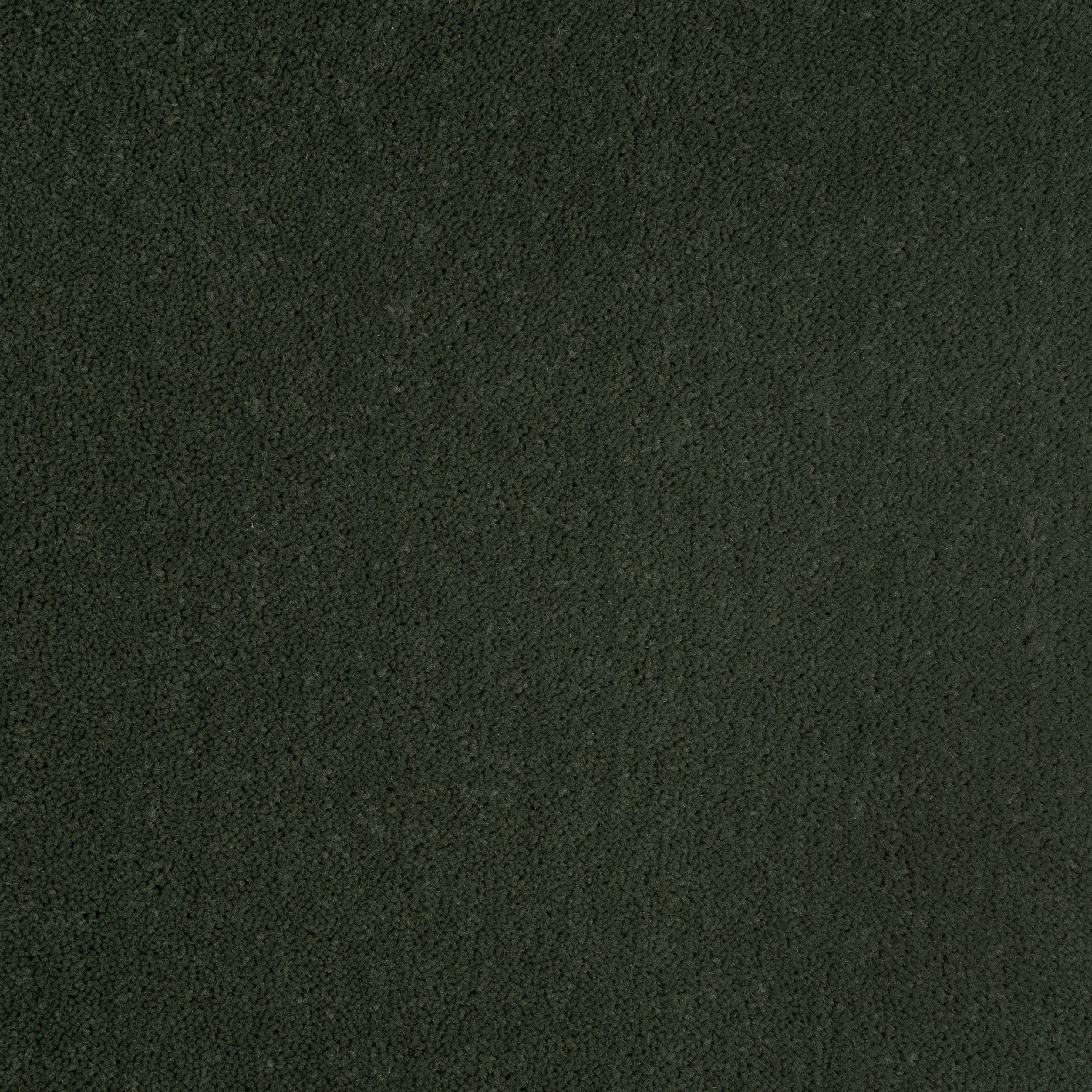Deep Forest 1362 CORE texture