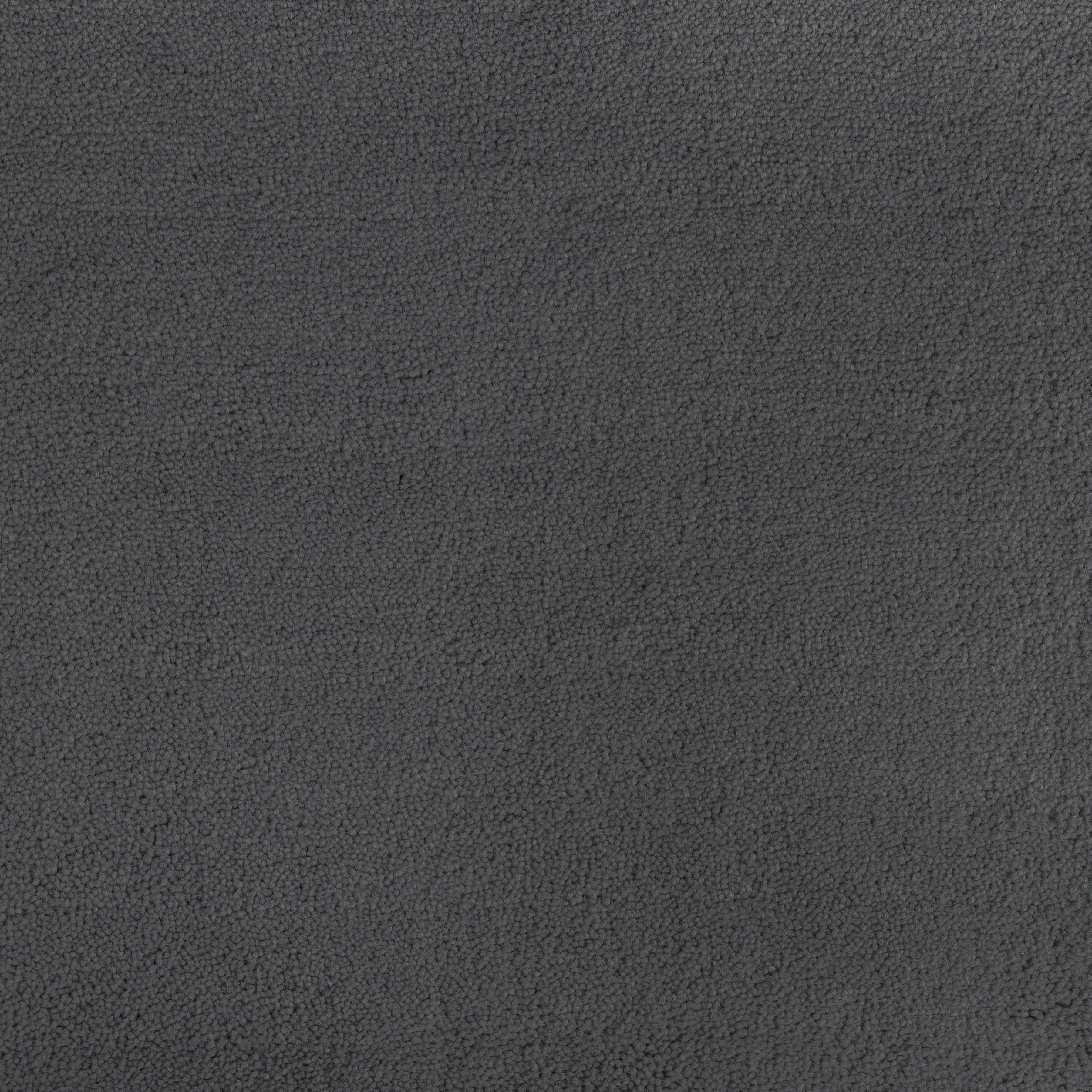 Iron 1399 CORE texture