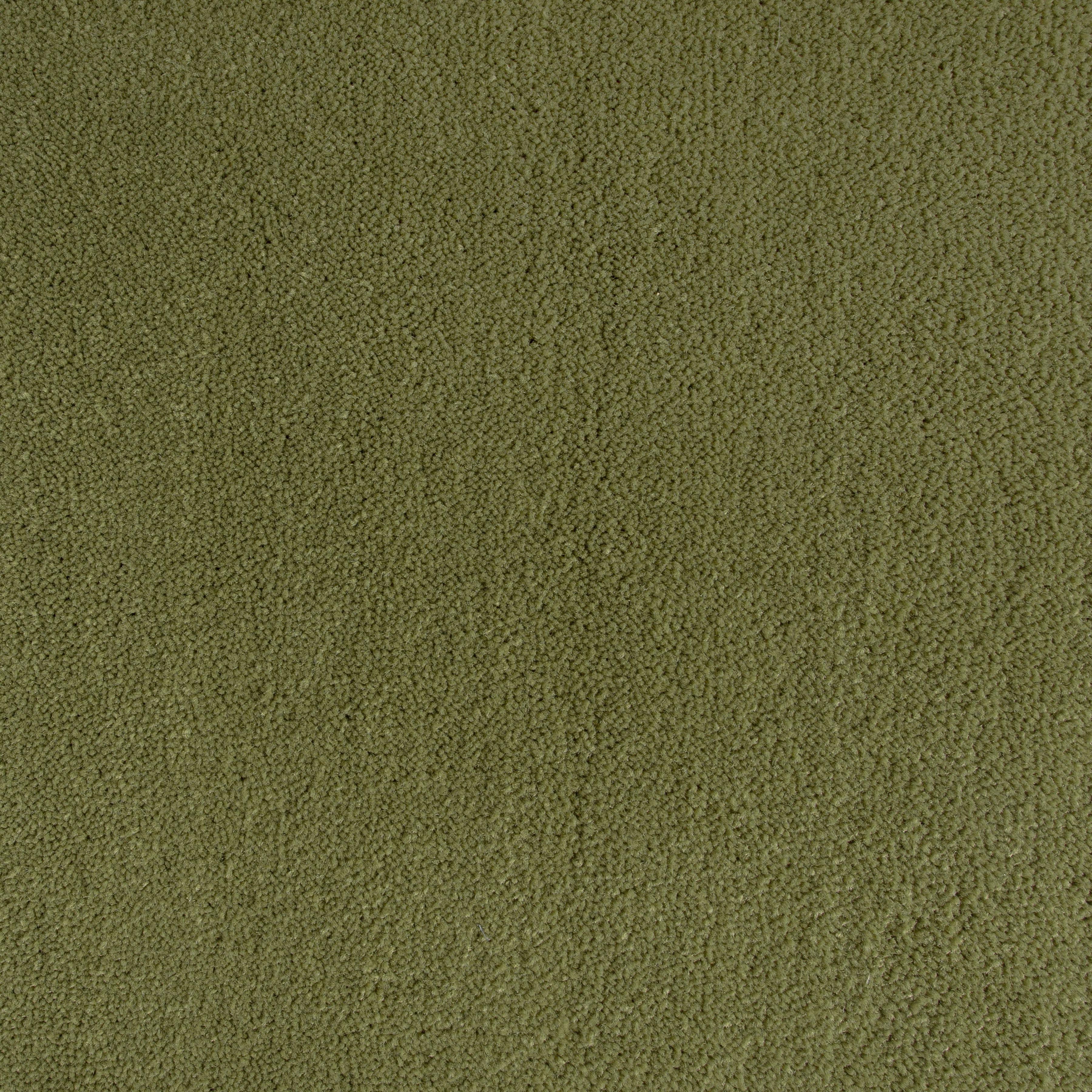 Moss 1421 CORE texture