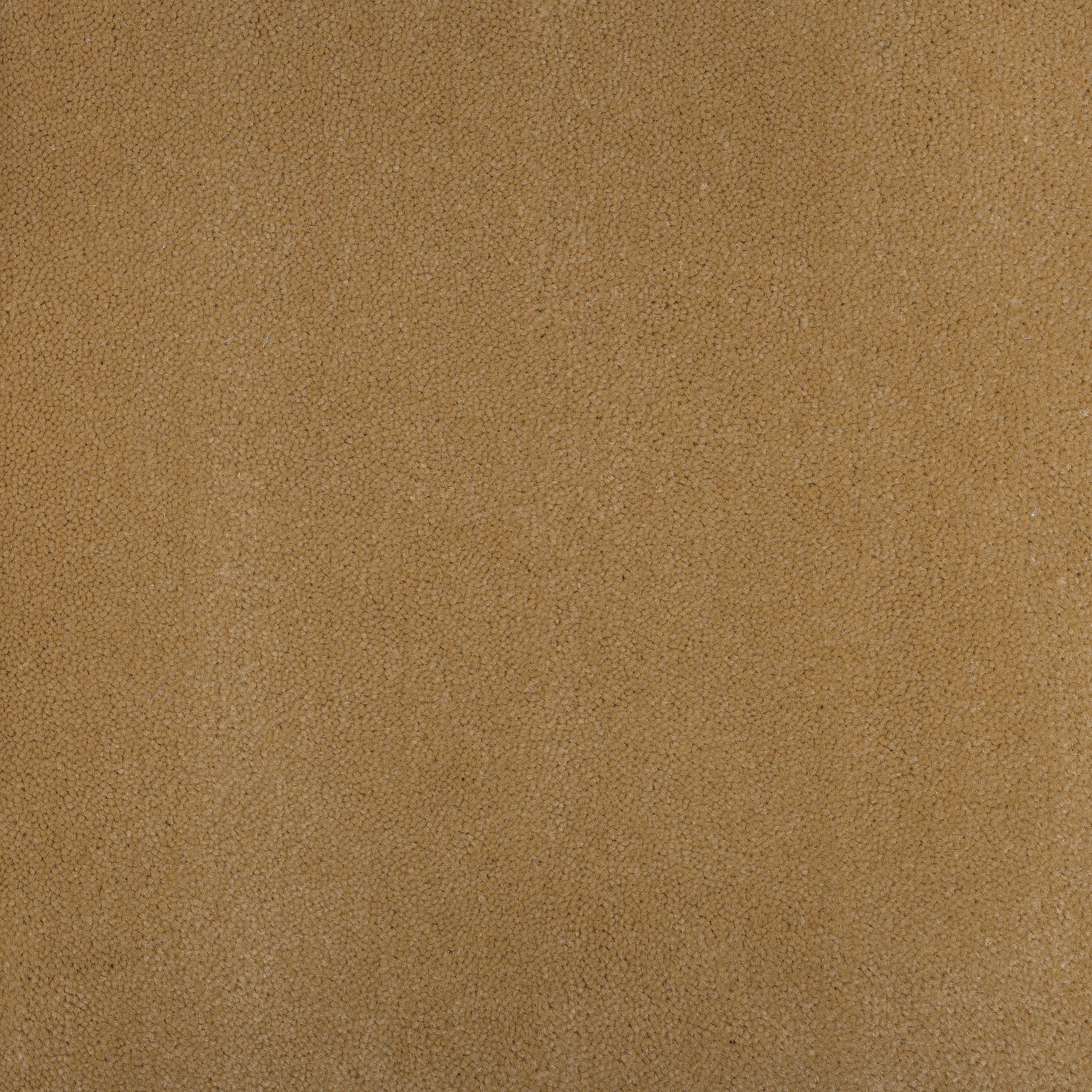 Biscuit 1423 CORE texture