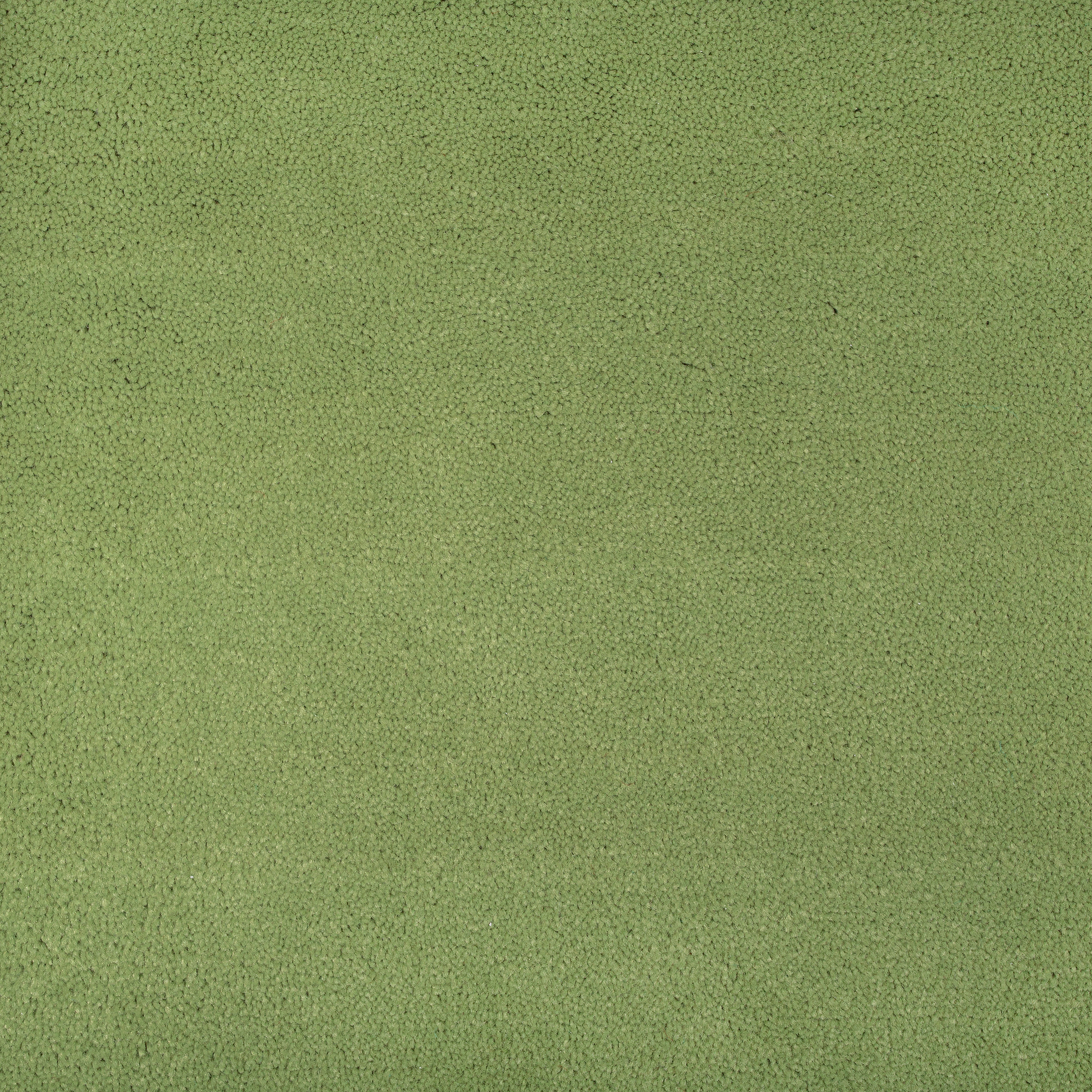 Fern 1424 CORE texture
