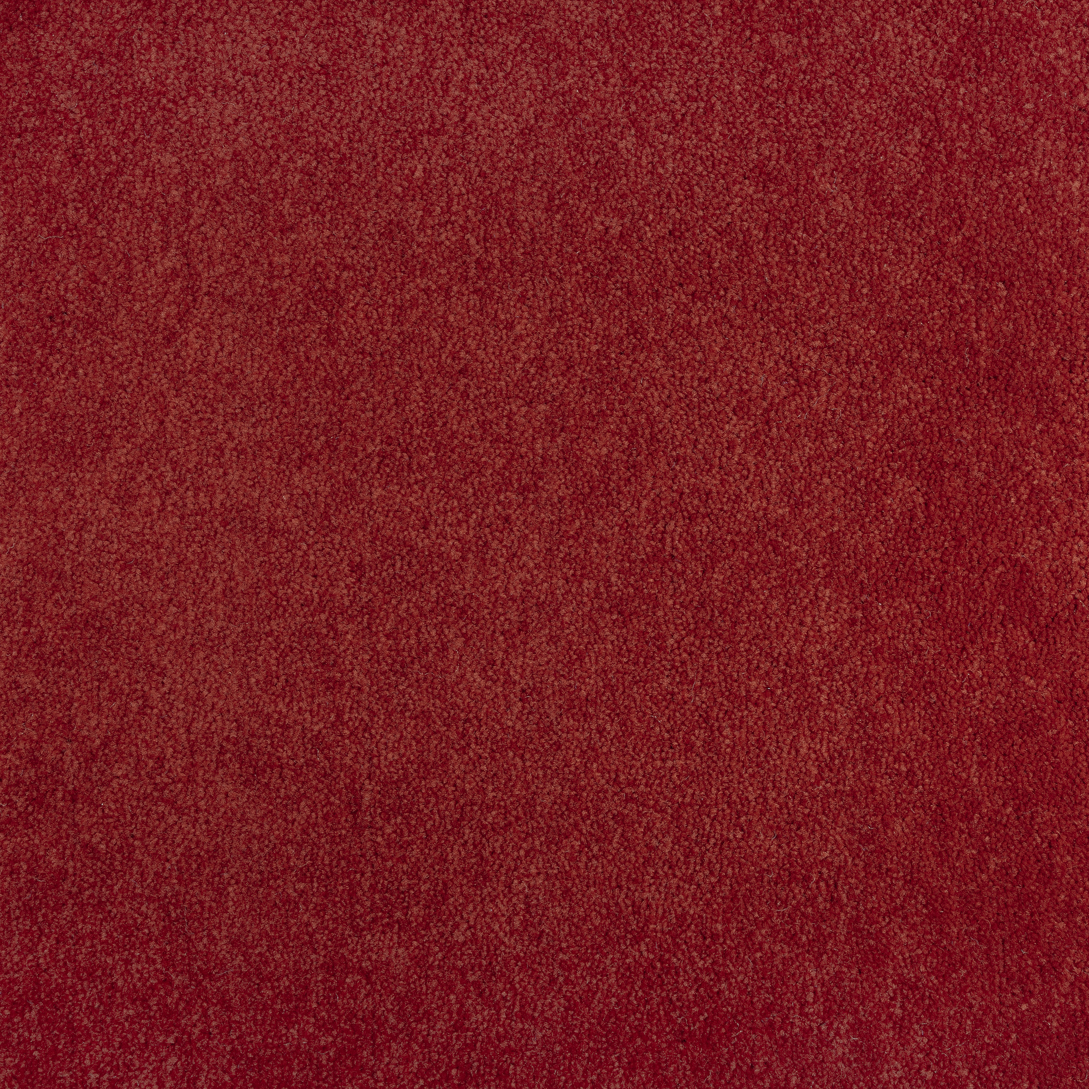 Pomegranate 1428 CORE texture