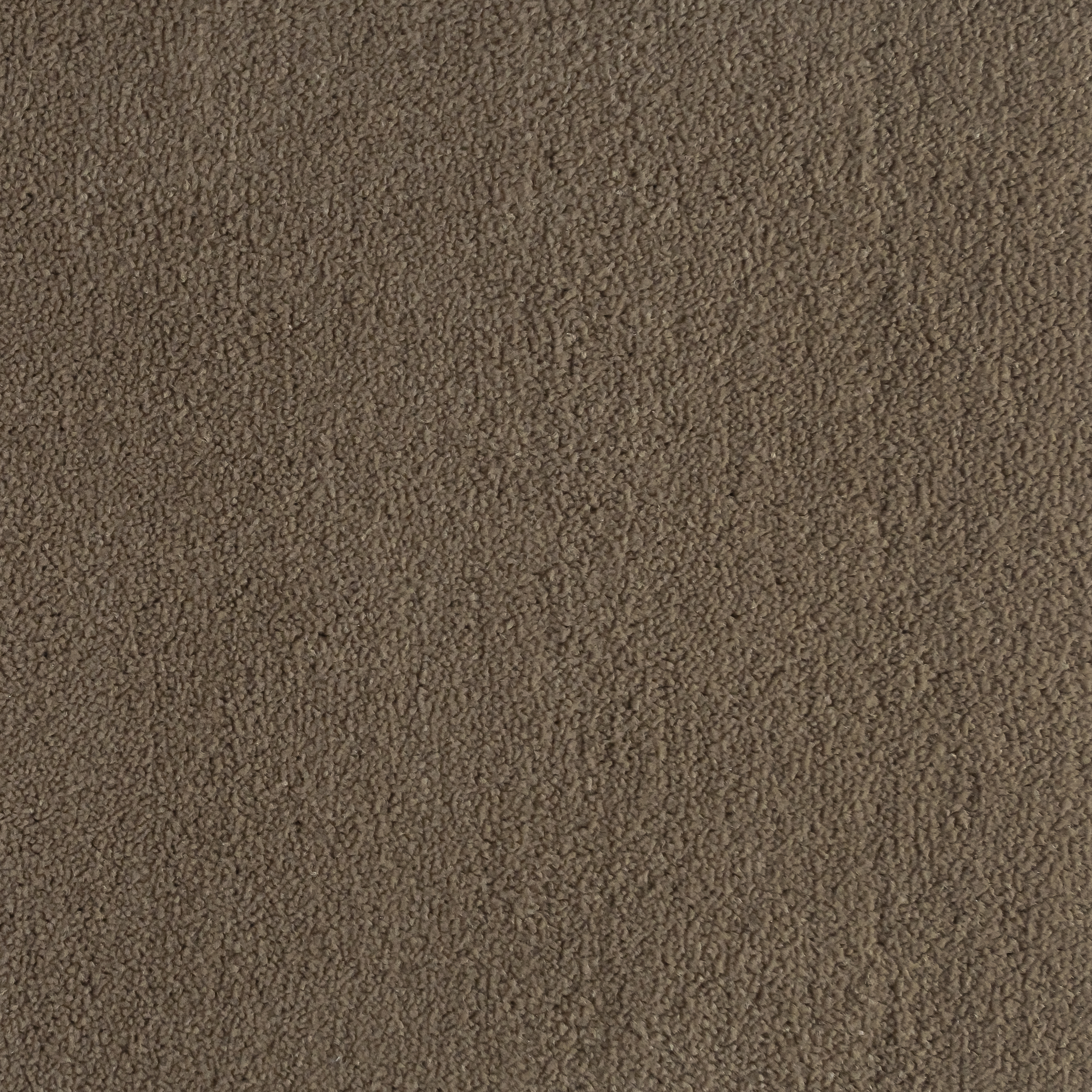 Chestnut 1444 CORE texture