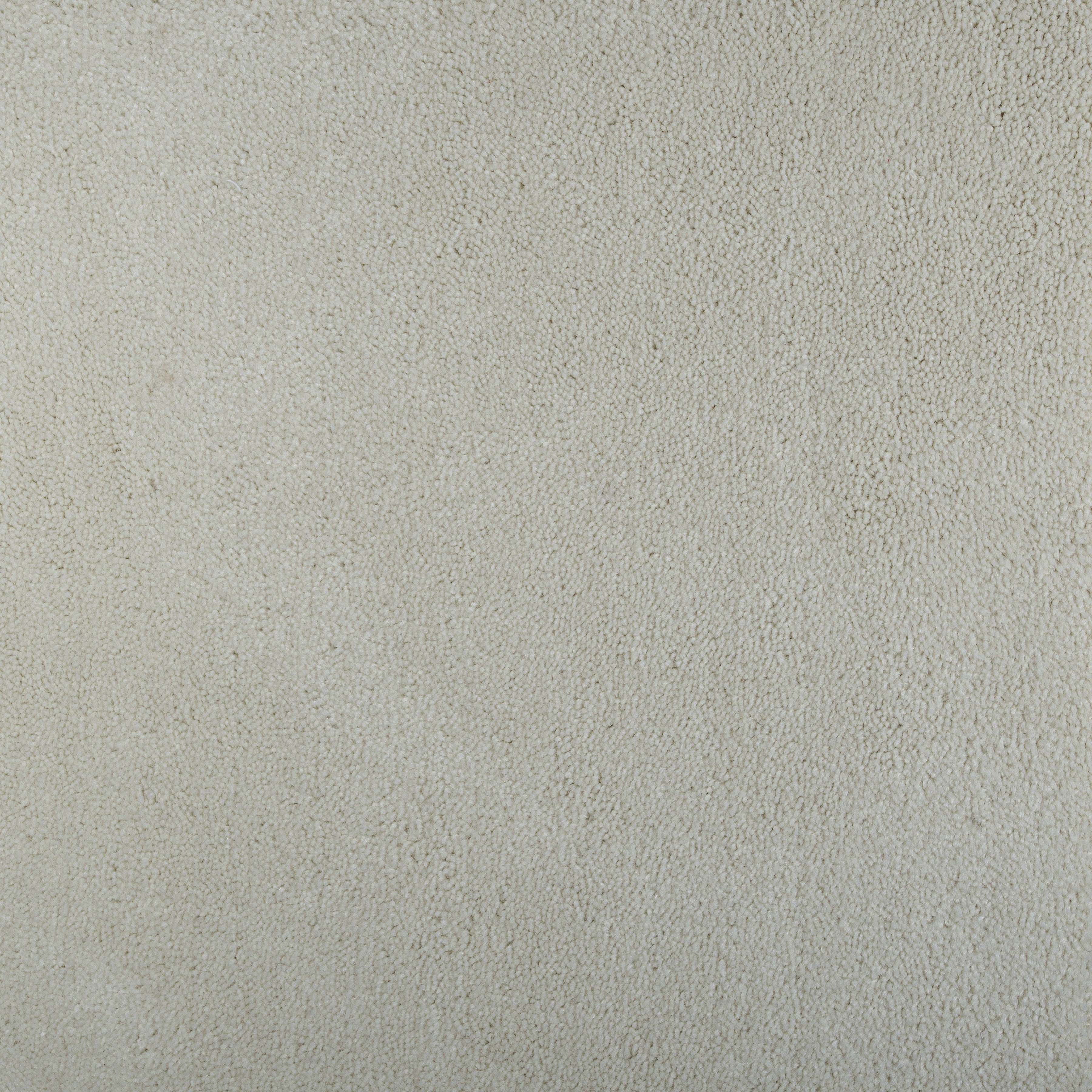 Pearl 1451 CORE texture