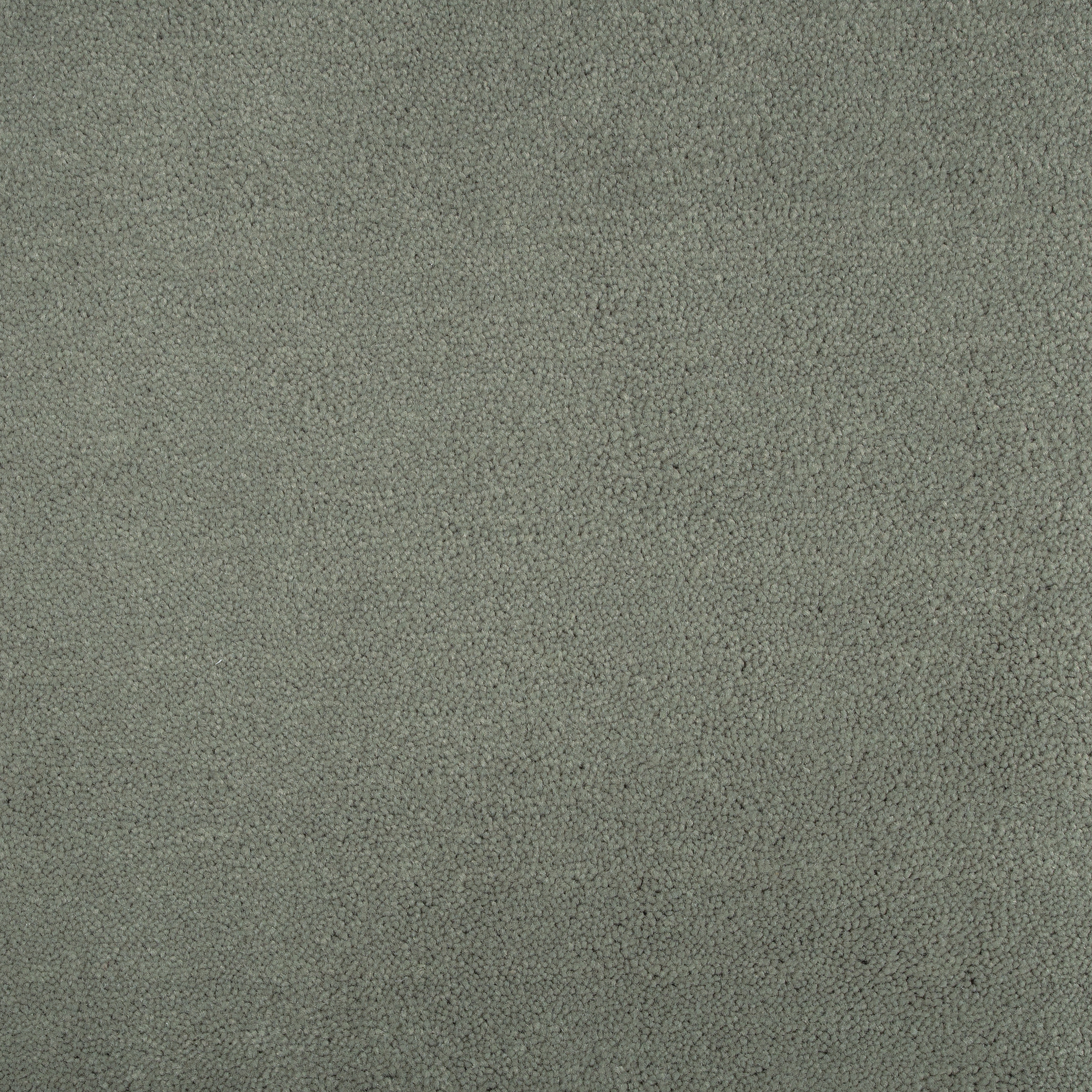 Lichen 1470 CORE texture