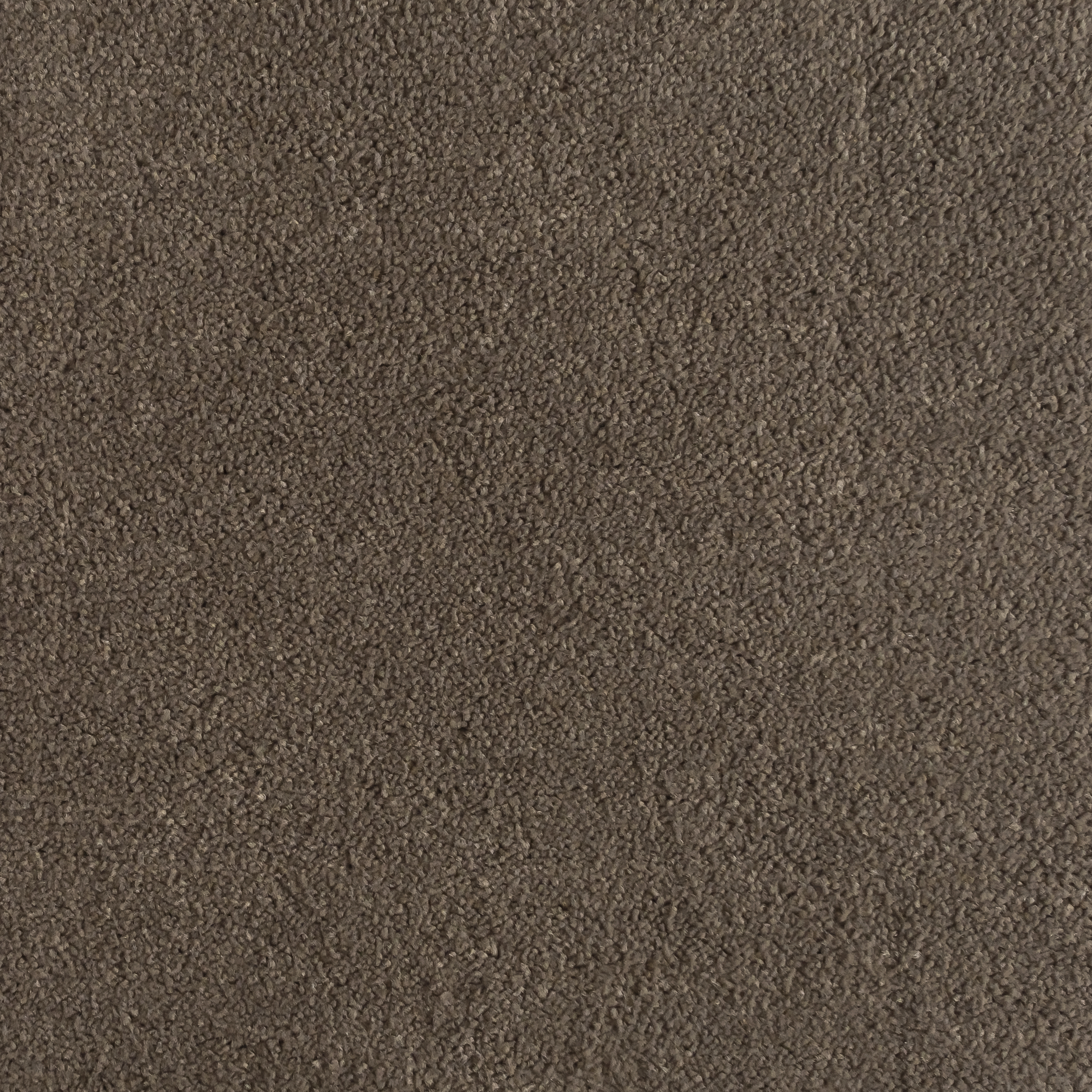 Cedar 1480 CORE texture