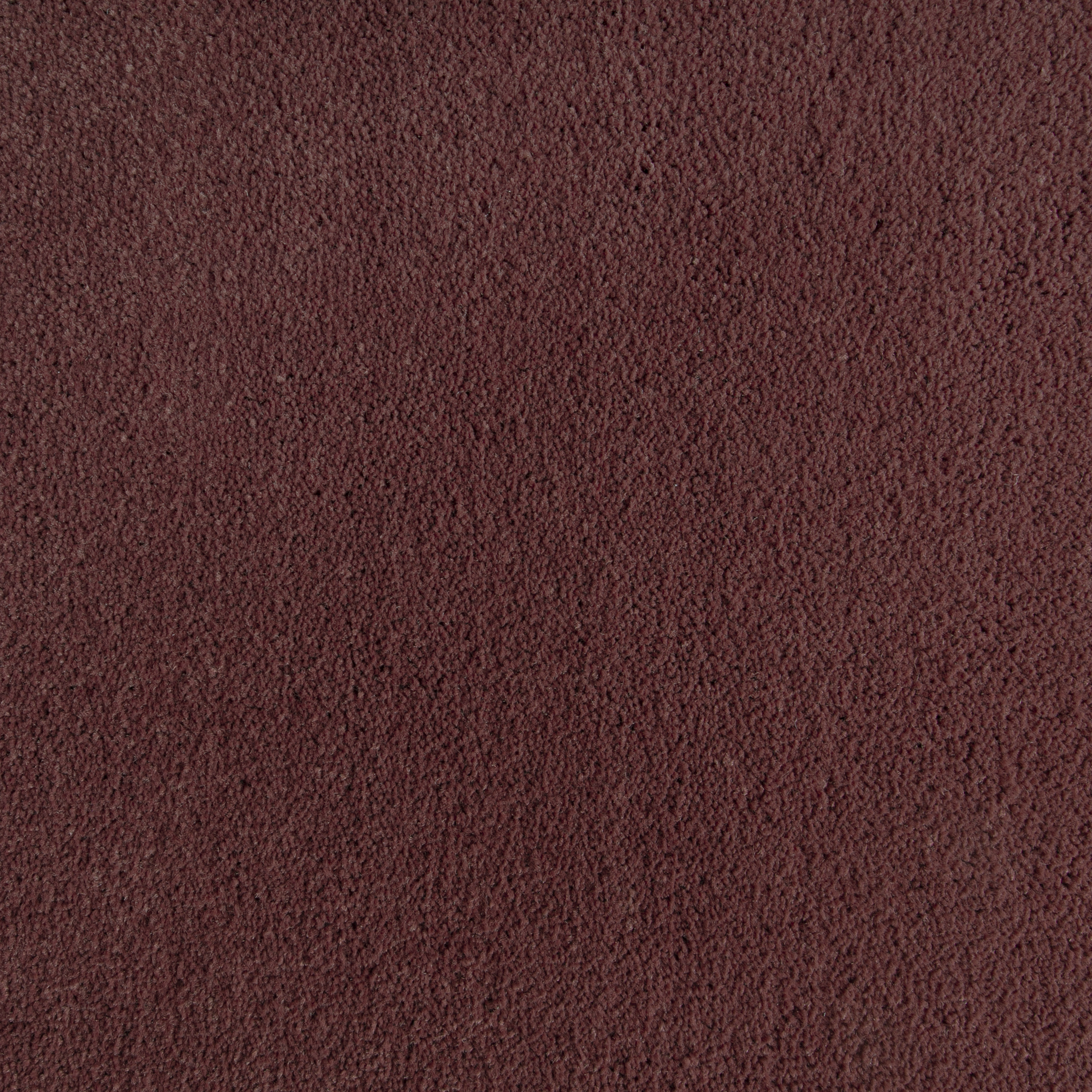 Fig 1517 CORE texture