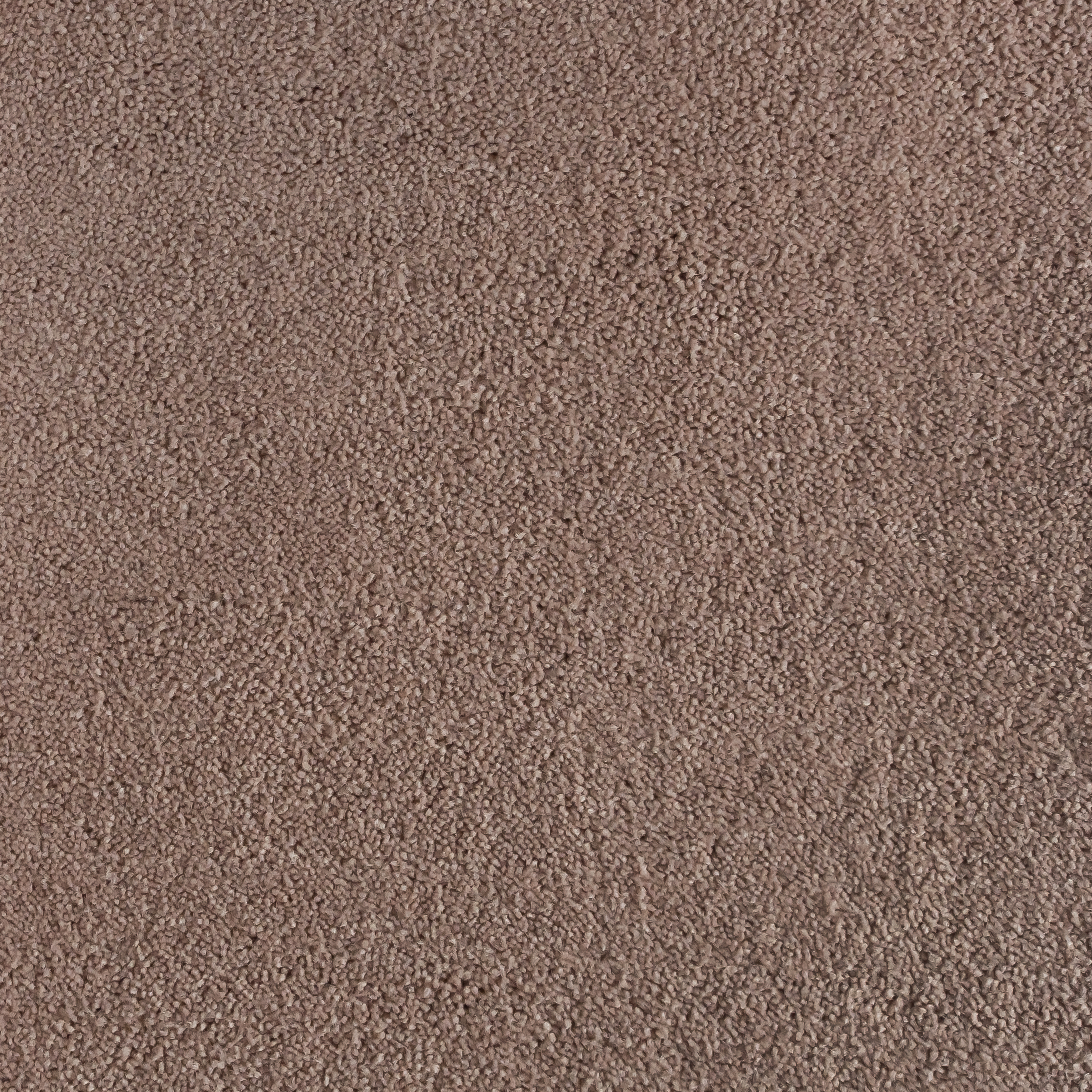 Cinnamon 1532 CORE texture