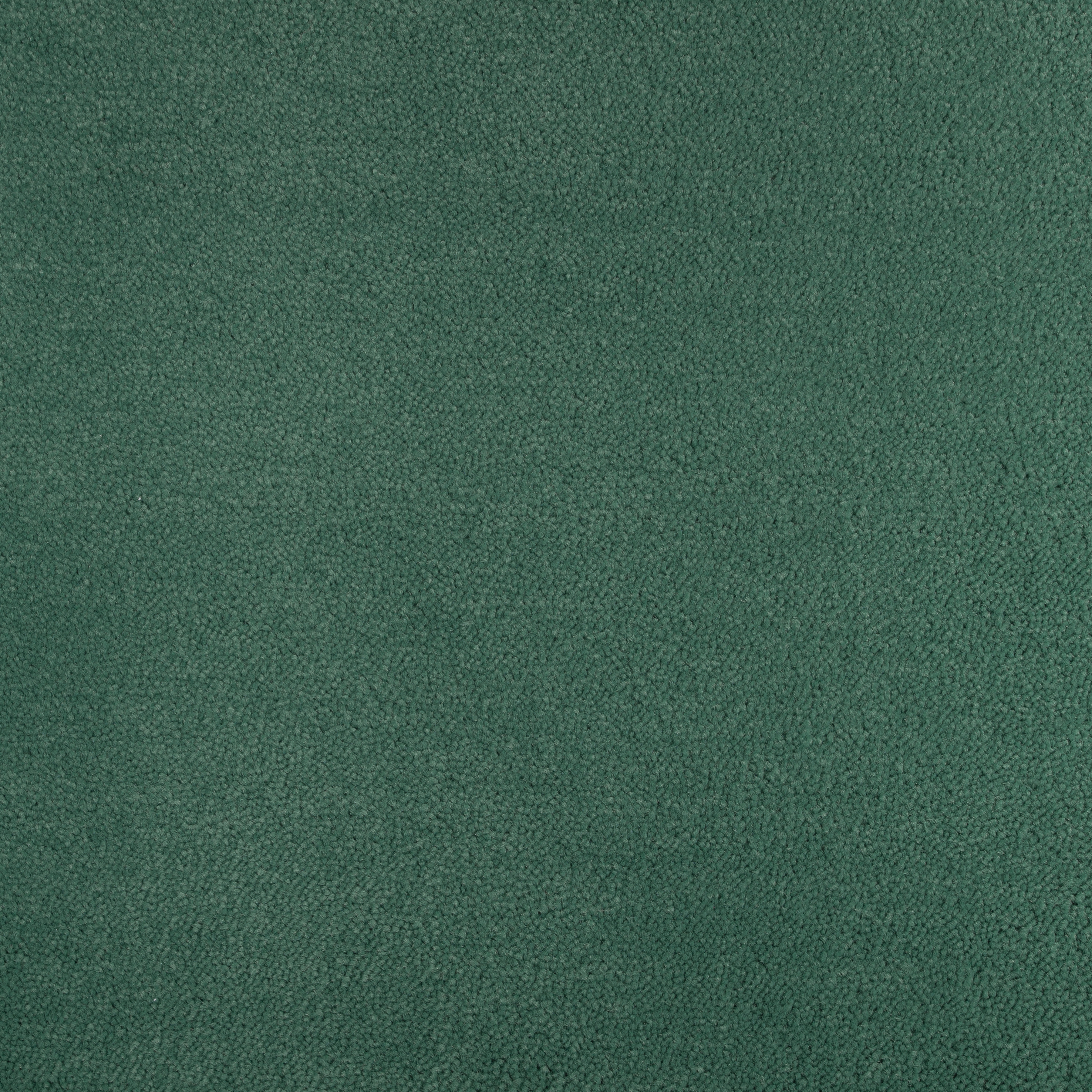 Cypress 1551 CORE texture