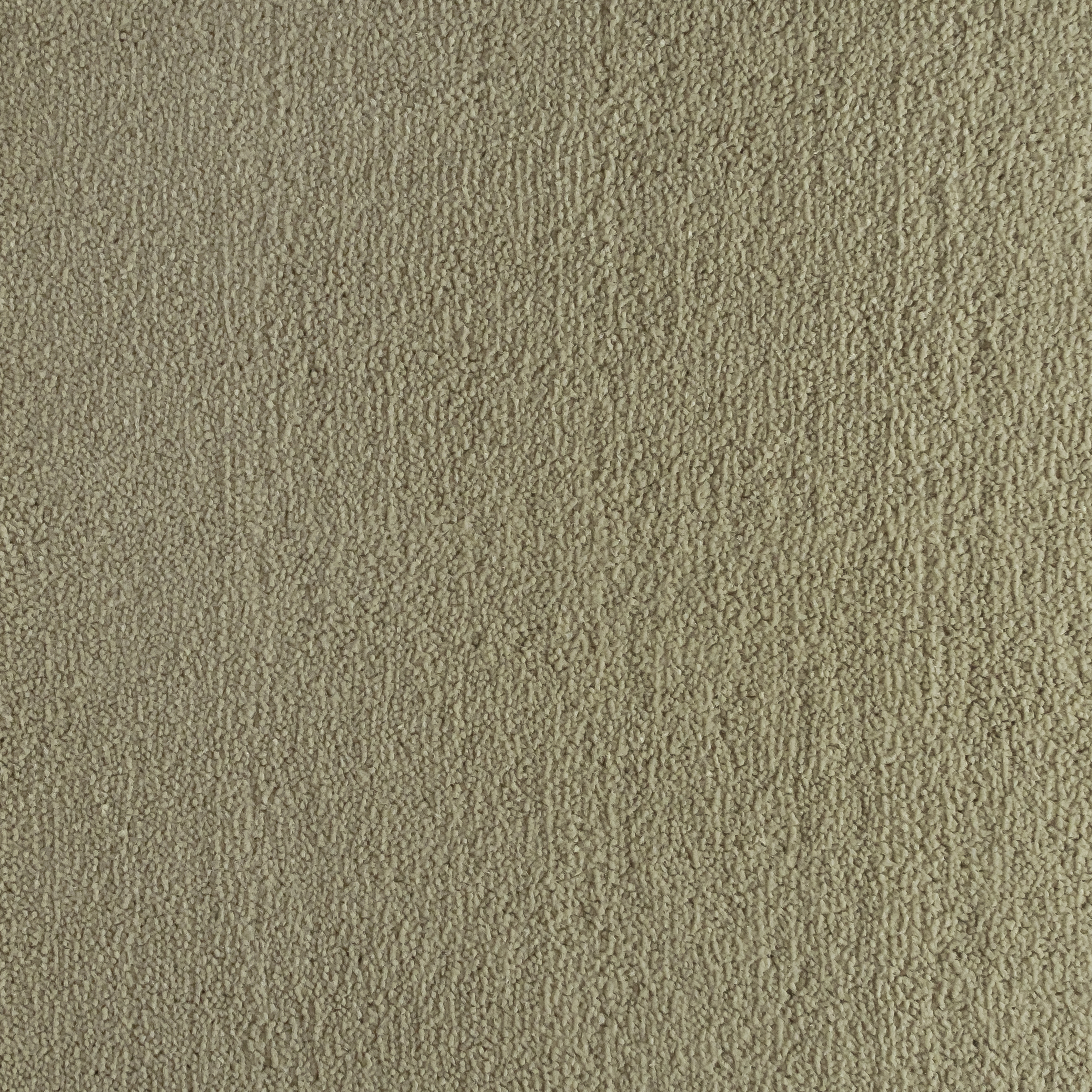 Parchment 1564 CORE texture