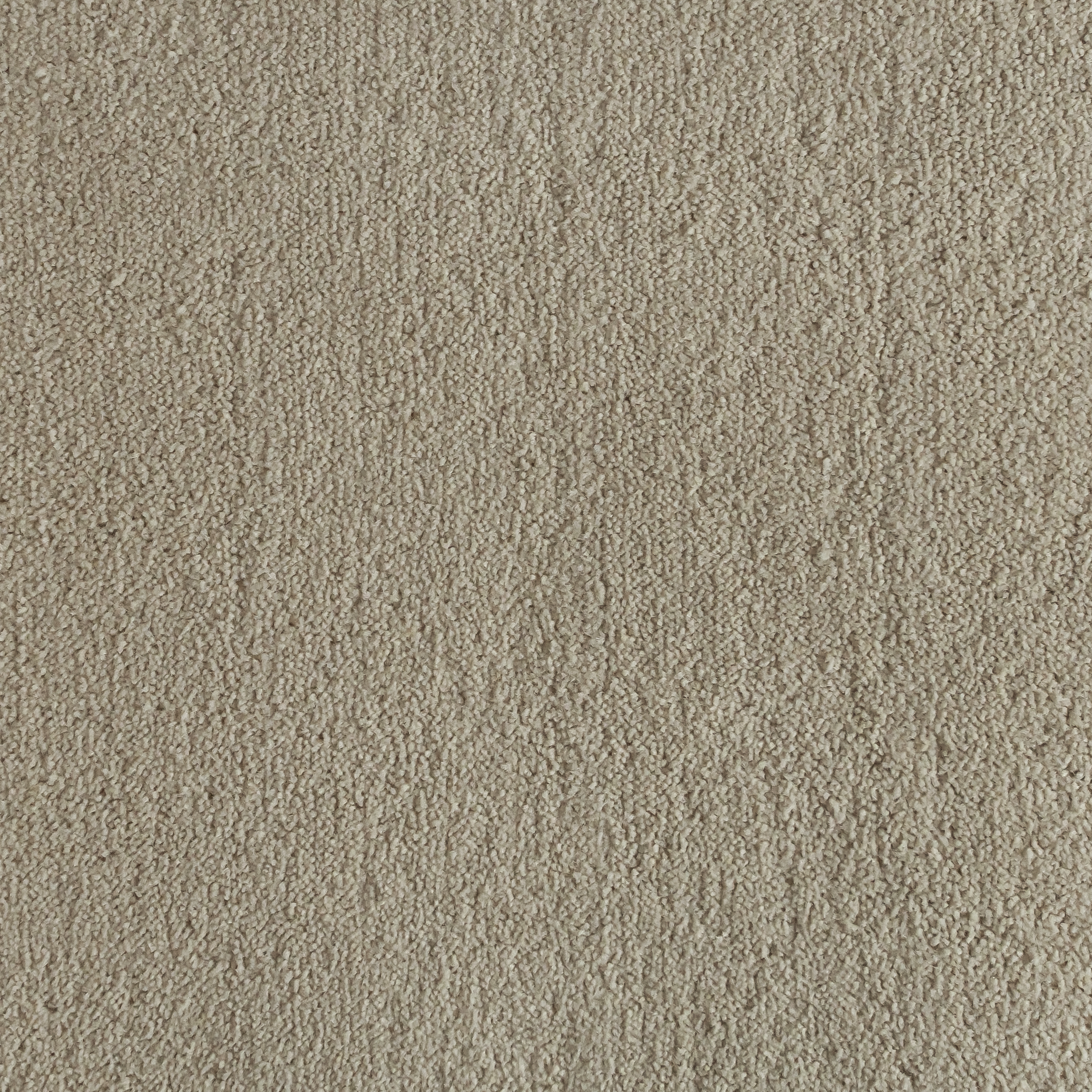 Taupe 1575 CORE texture