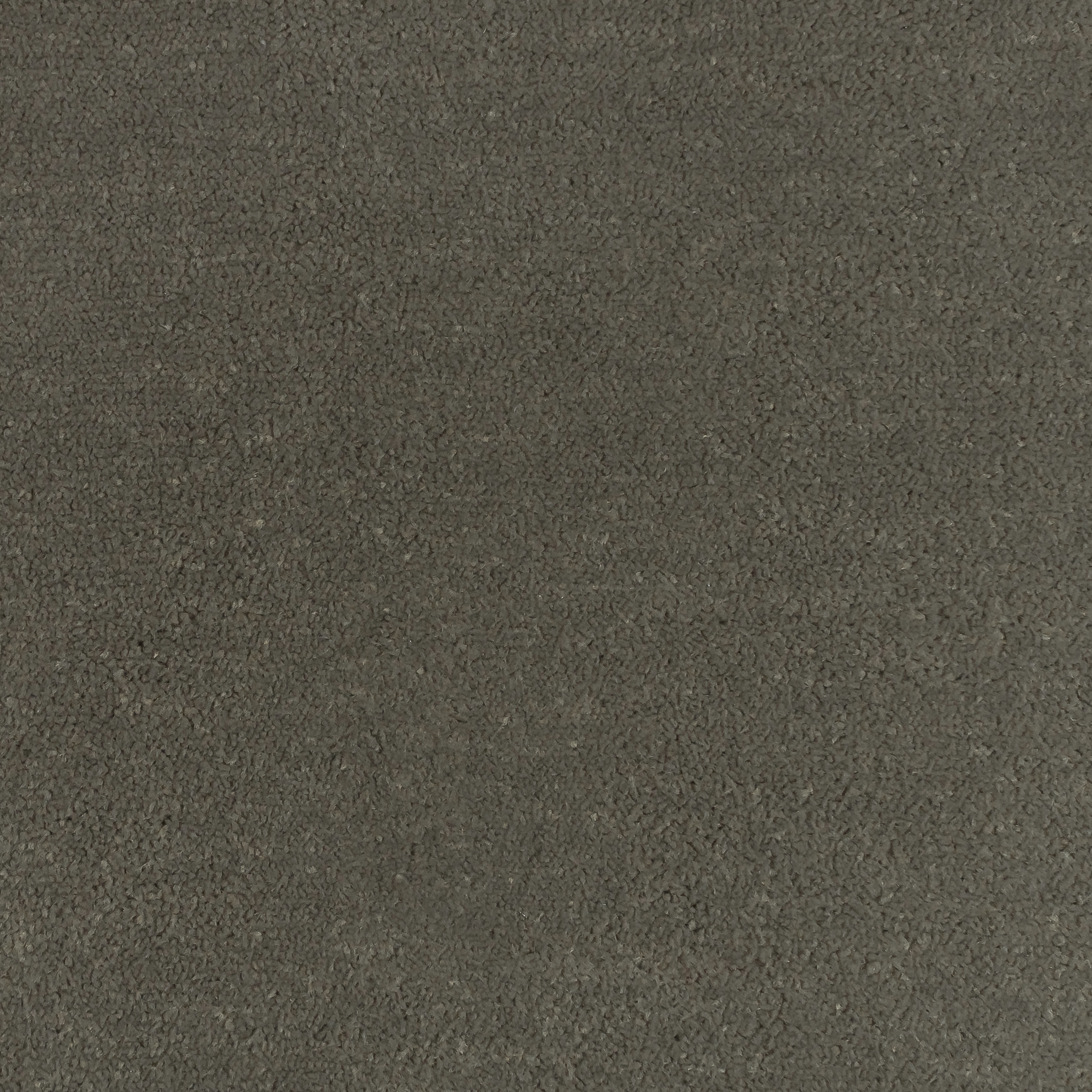 Peat 1580 CORE texture