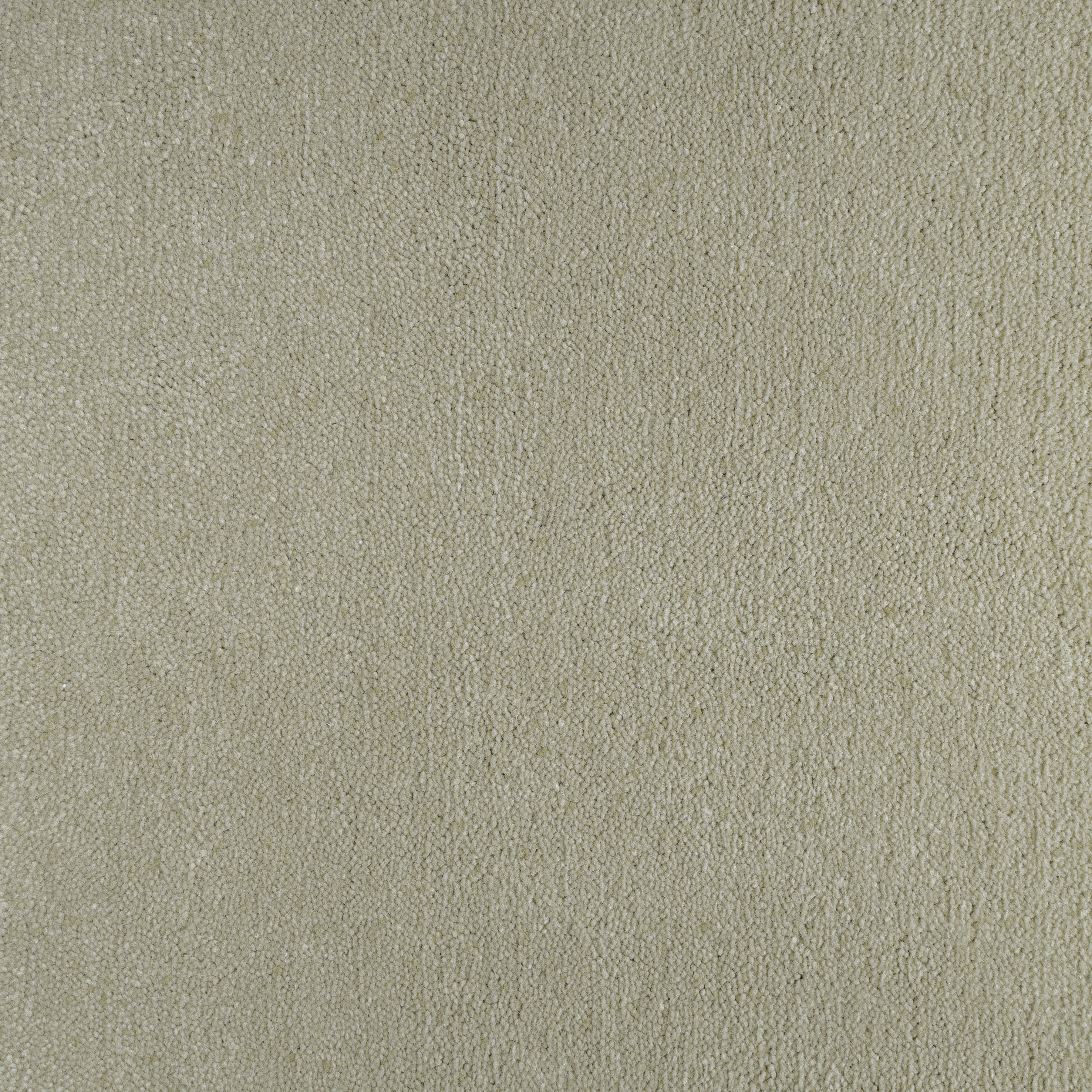 Desert Sand 1590 CORE texture
