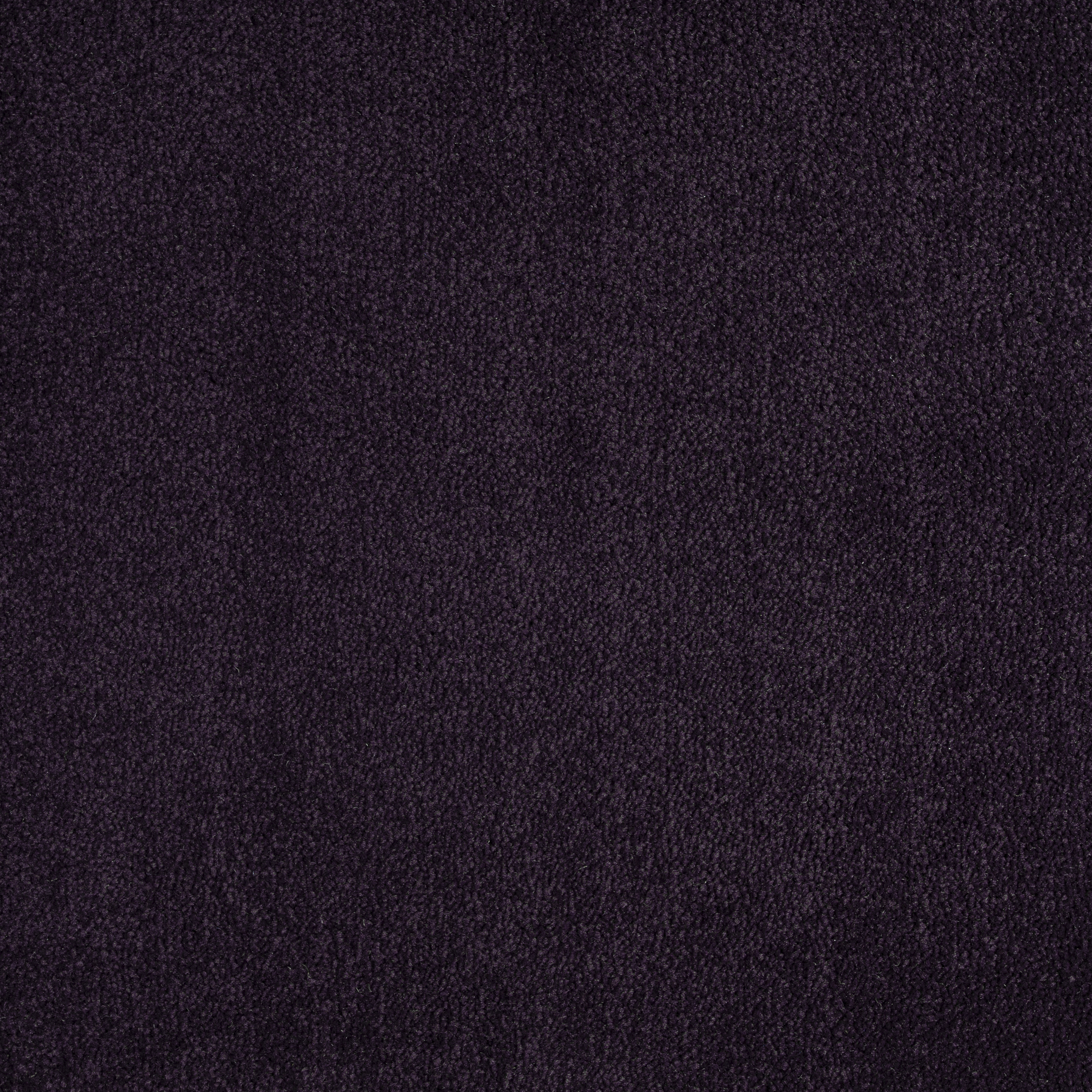 Black Iris 1620 CORE texture