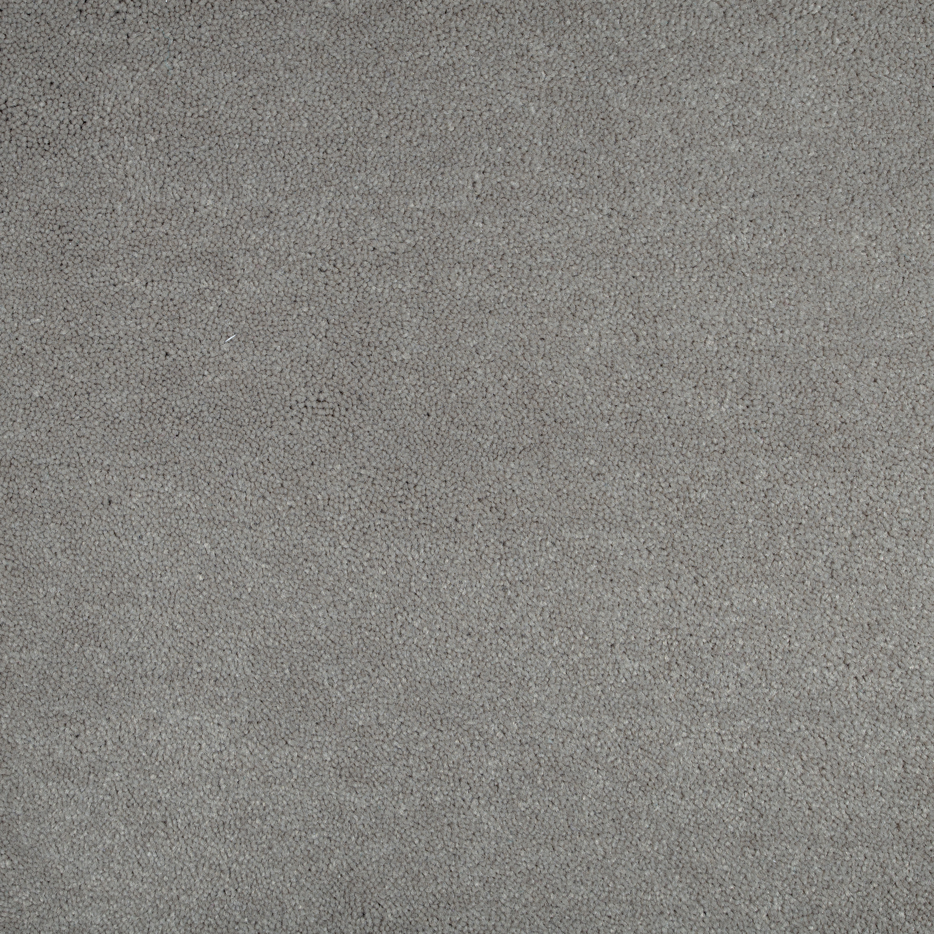 Gravel 5013 CORE texture