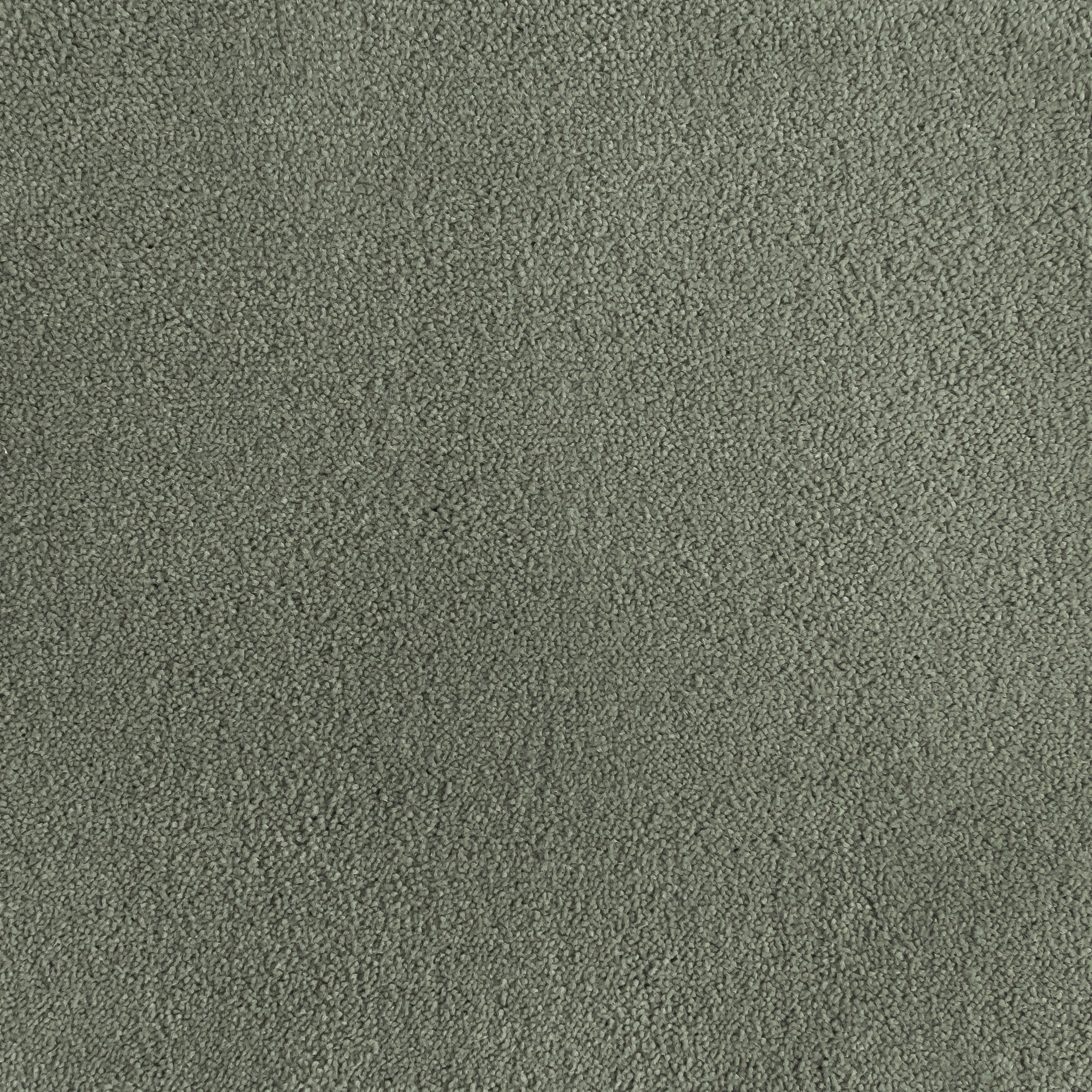 Eucalyptus 5018 CORE texture