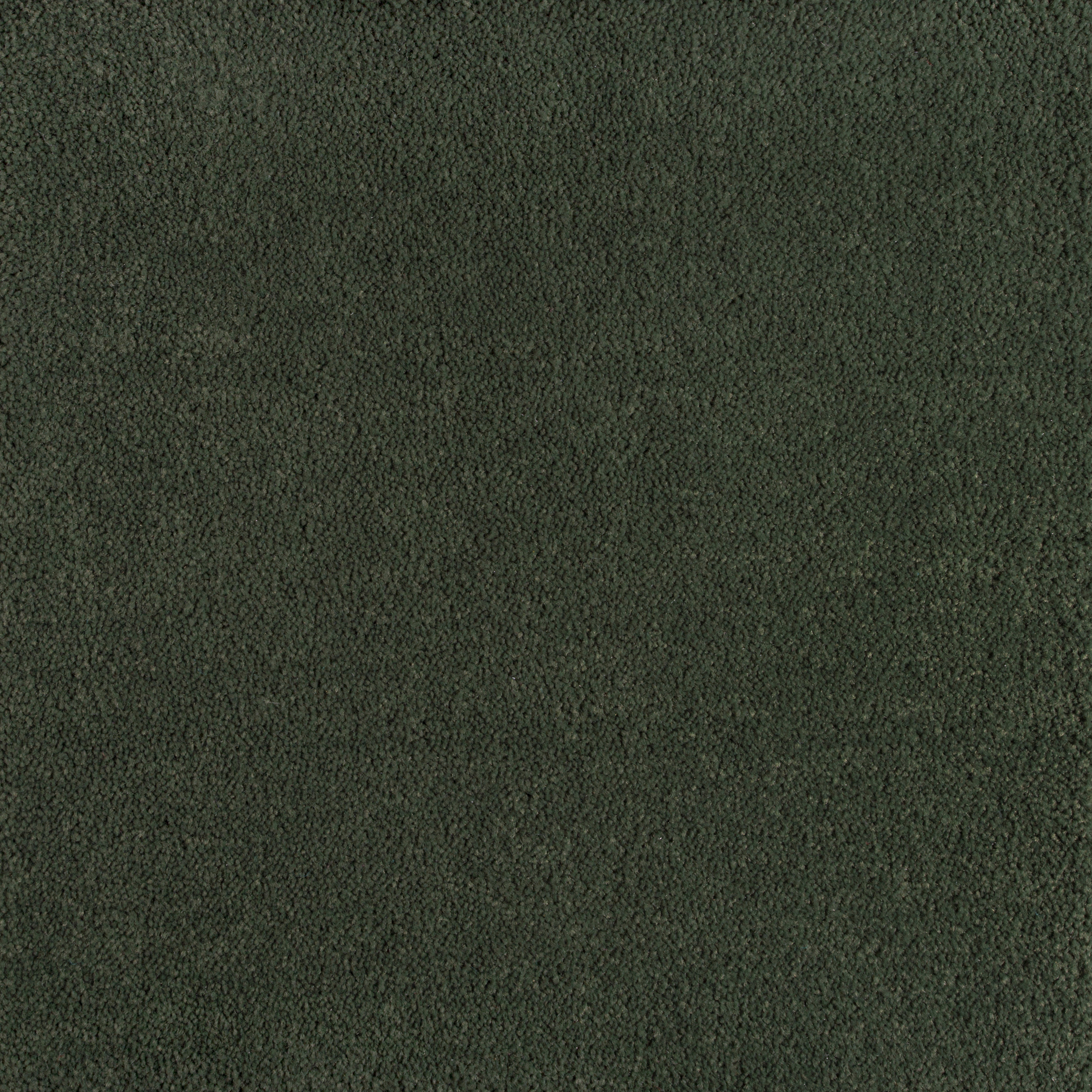 Evergreen 5020 CORE texture