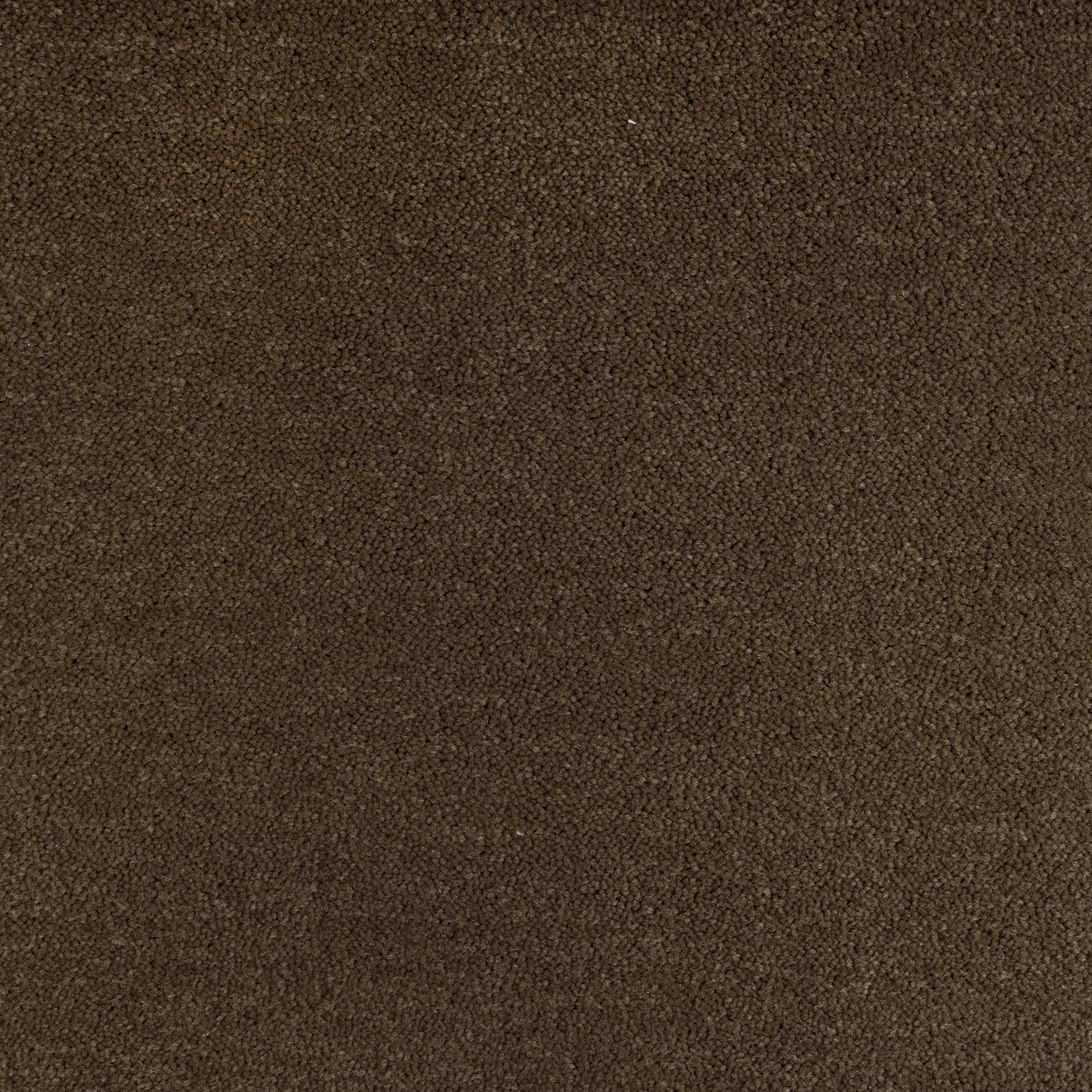 Dark Chocolate 6014 CORE texture