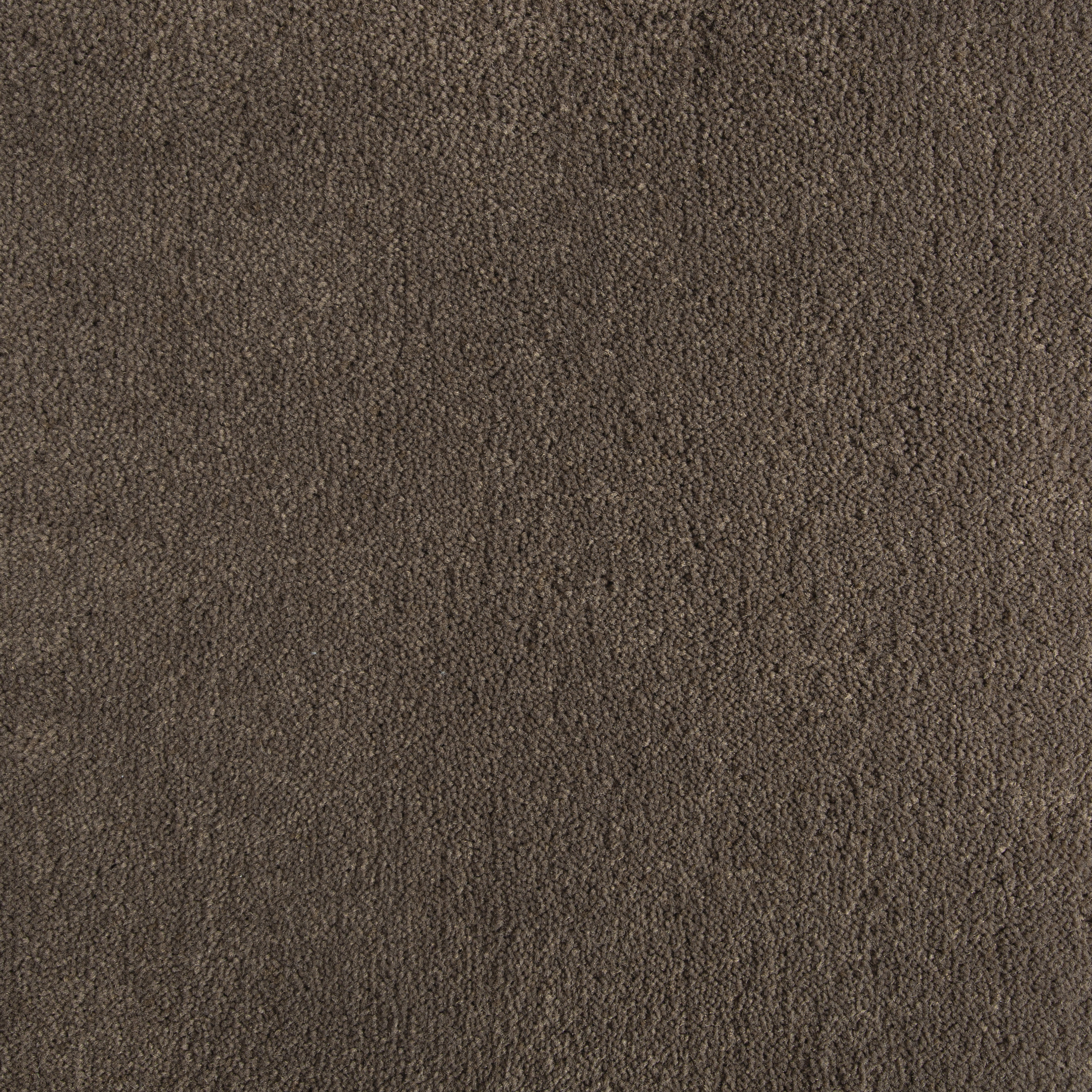 Oud 6016 CORE texture